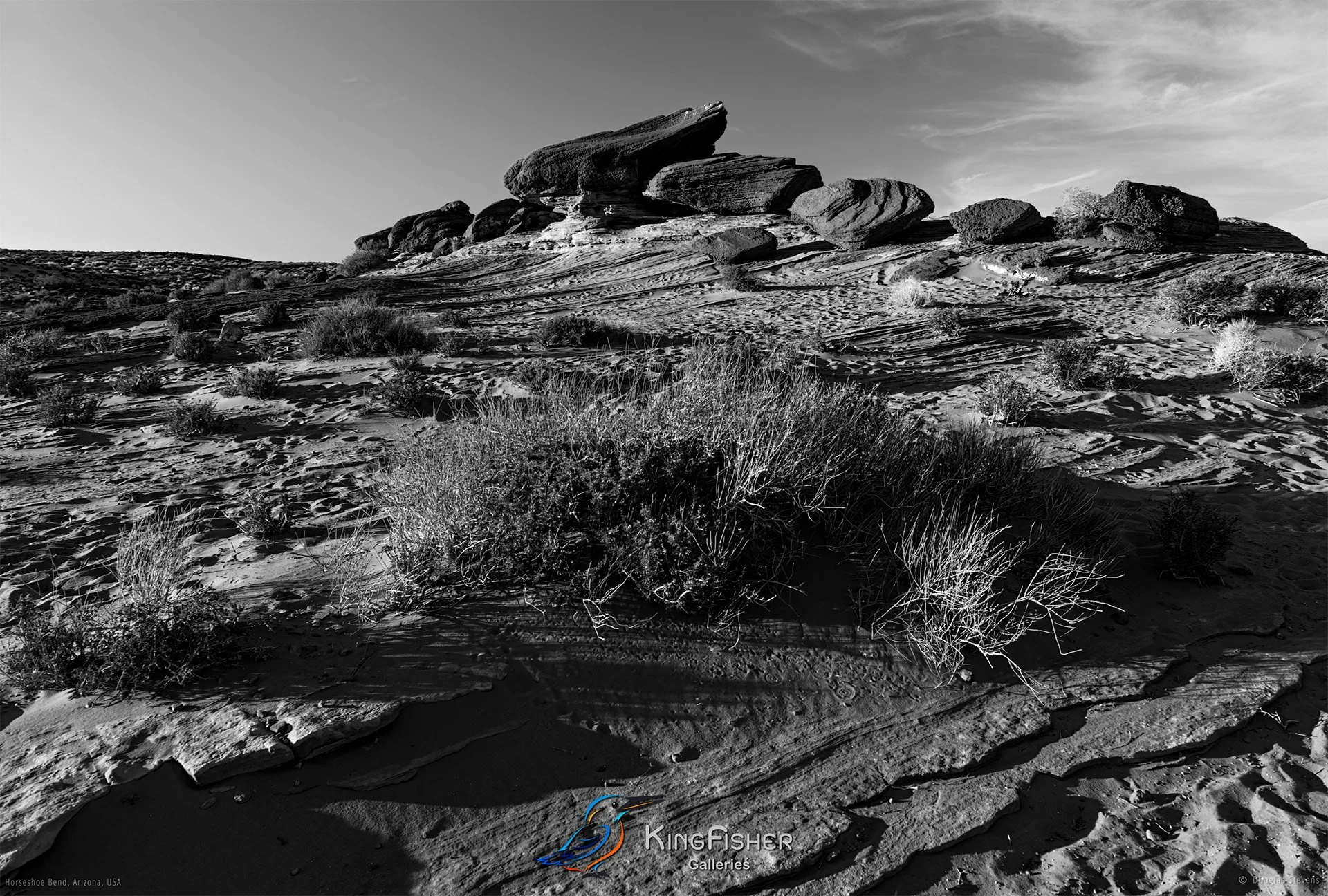 015_DST_Horseshoe_Bend_AZ_USA_2012_L_BW.jpg