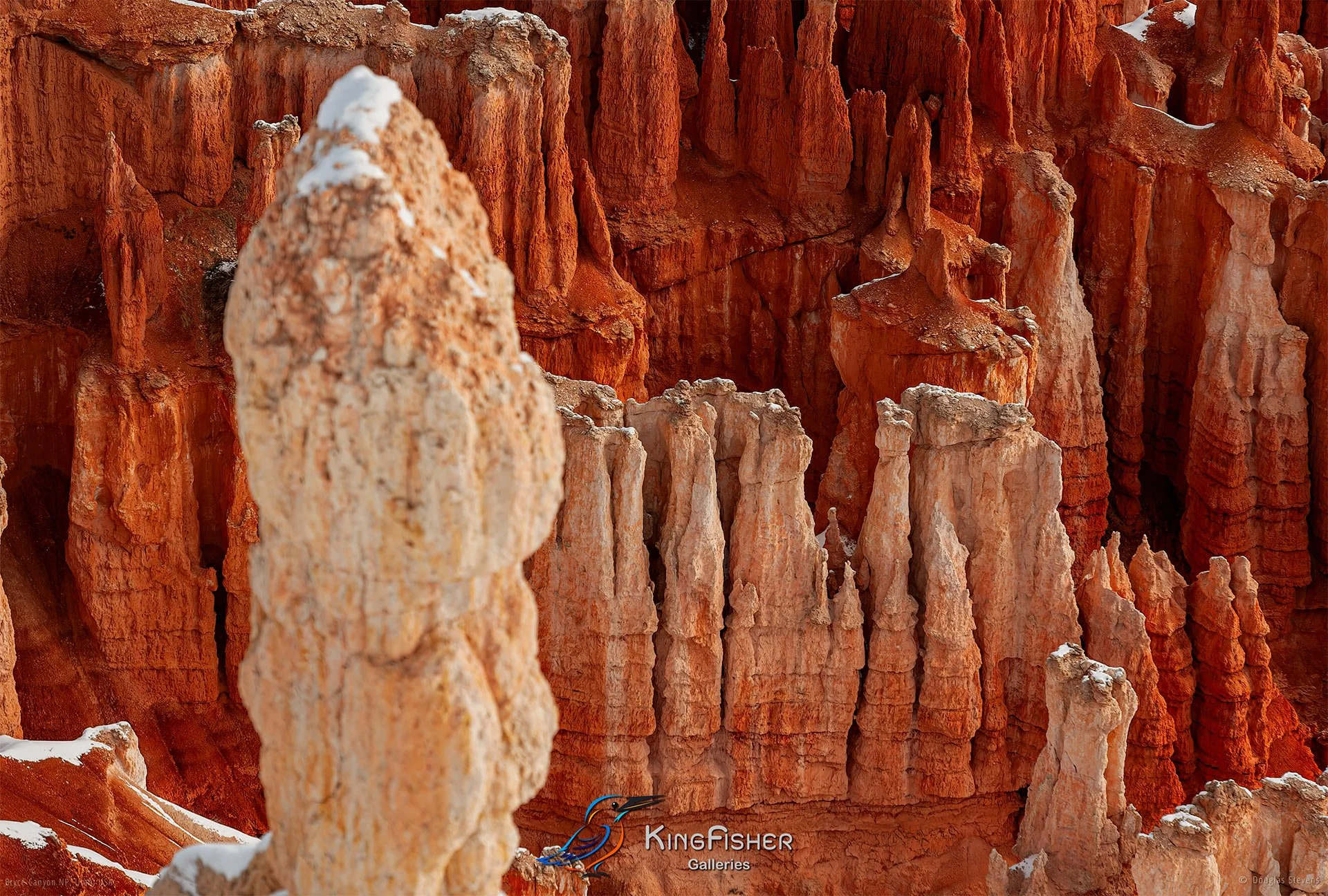 018_DST_Bryce_Canyon_NP_UT_USA_2012_L.jpg