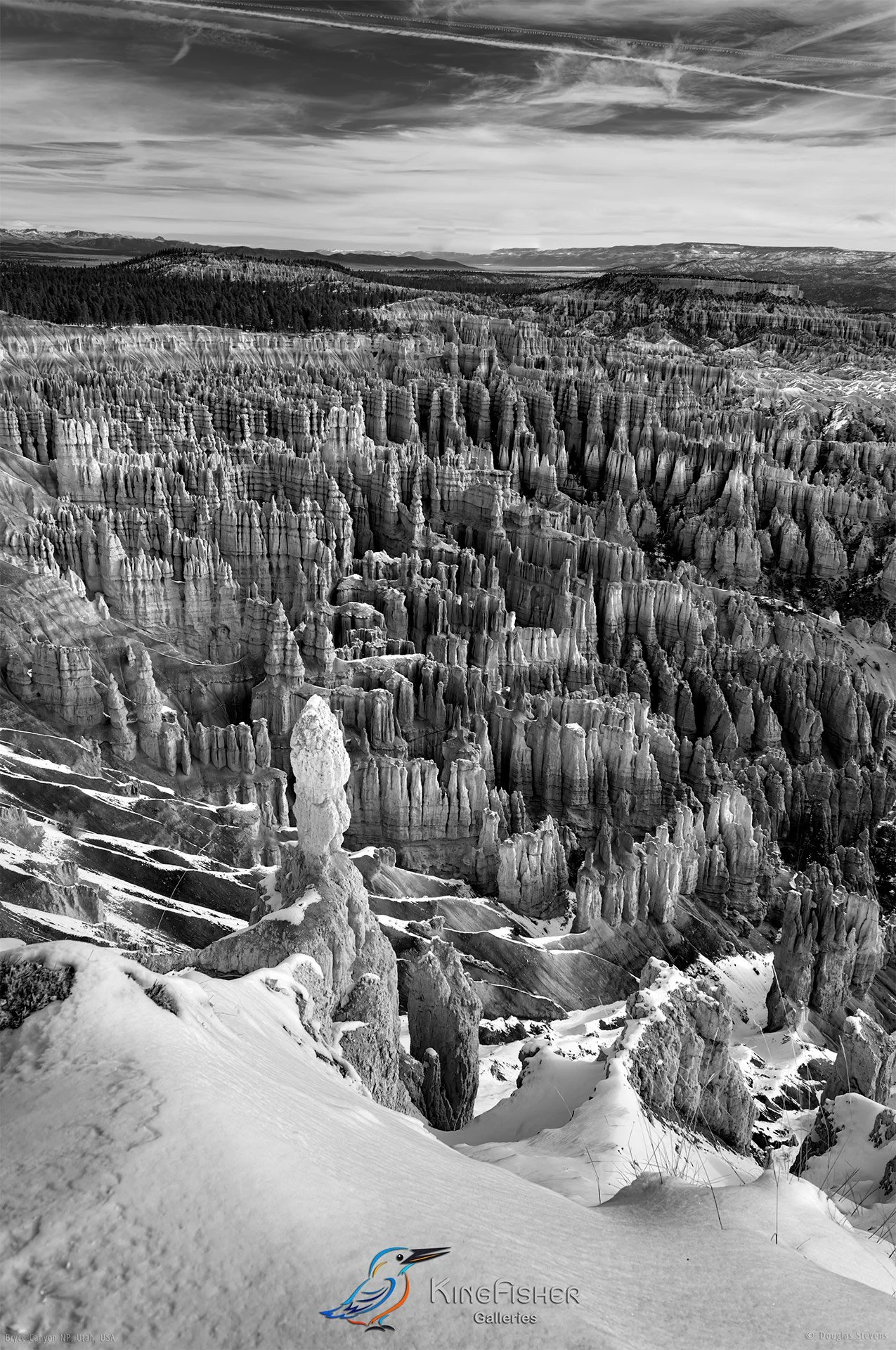 035_DST_Bryce_Canyon_NP_UT_USA_2012_P_BW.jpg