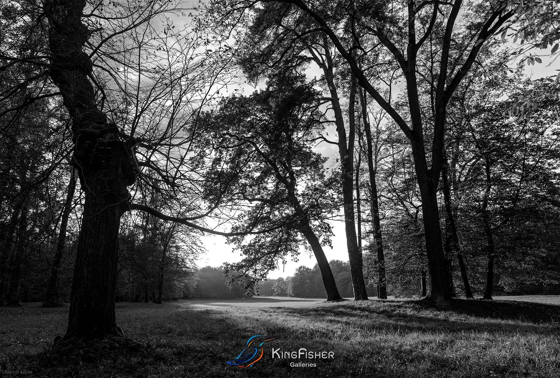 087_DST_Colours_Of_Autumn_L_BW.jpg