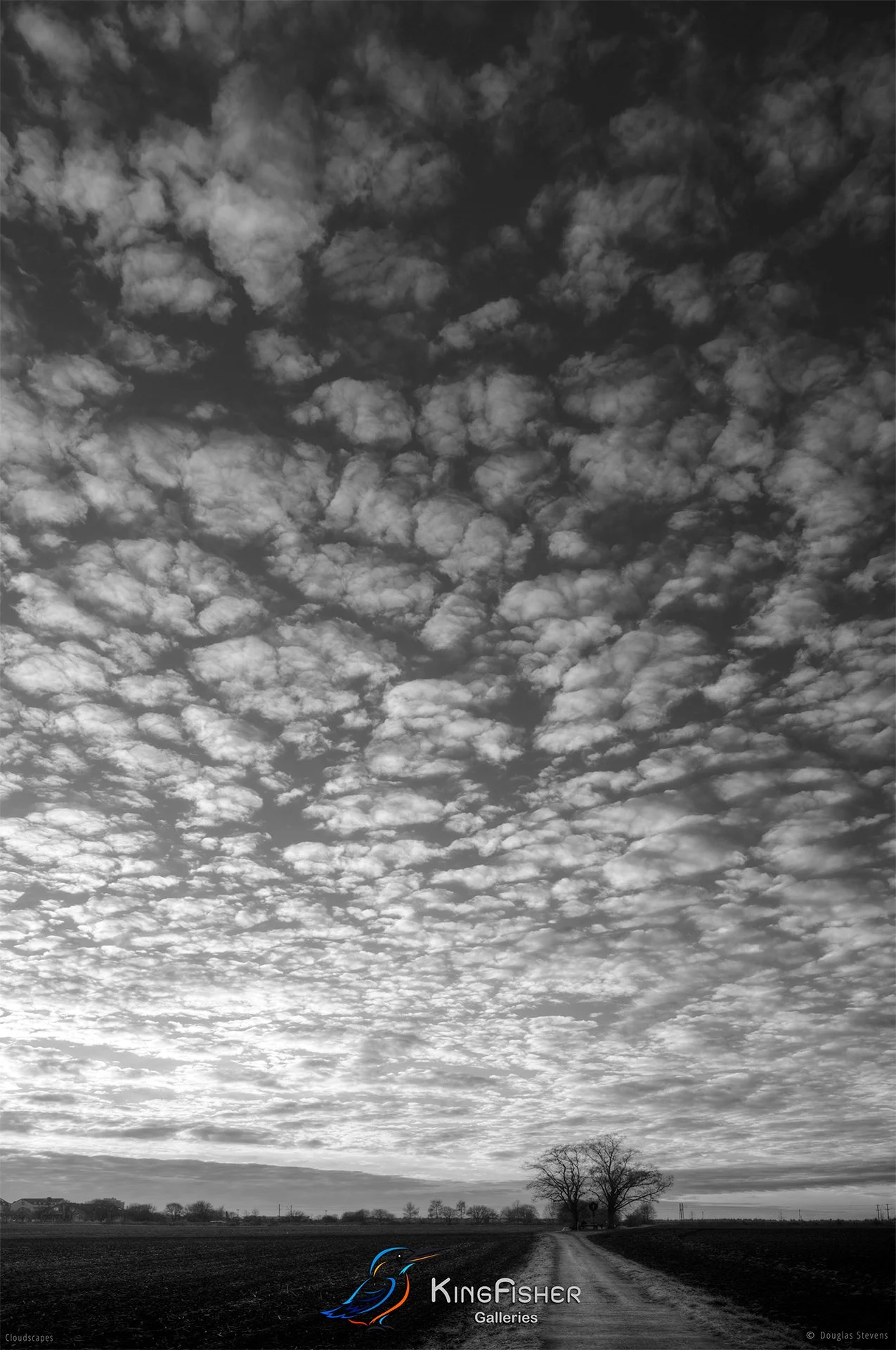 046_DST_Cloudscapes_2011_P_BW.jpg