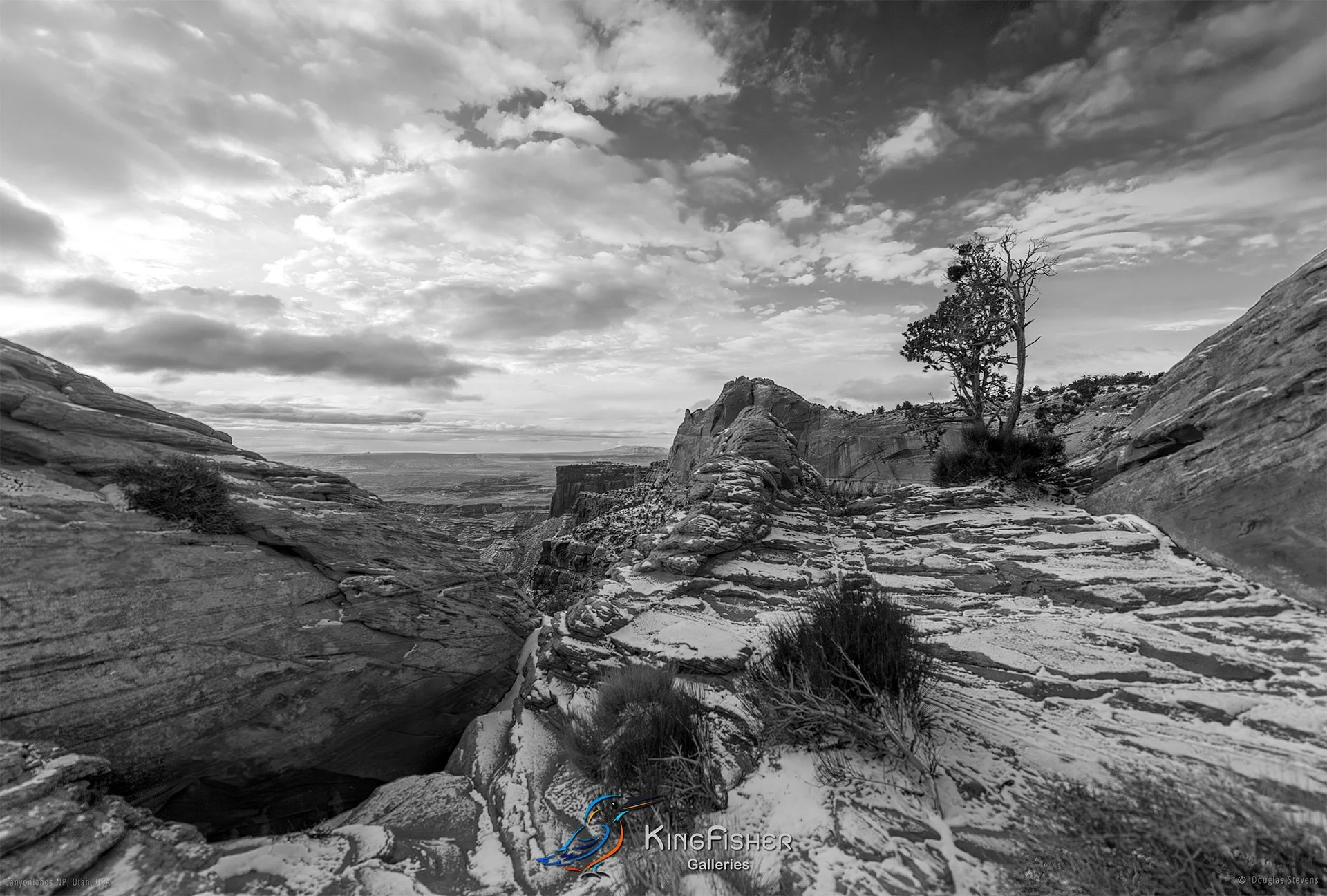 001_DST_Canyonlands_NP_UT_USA_2012_L_BW.jpg