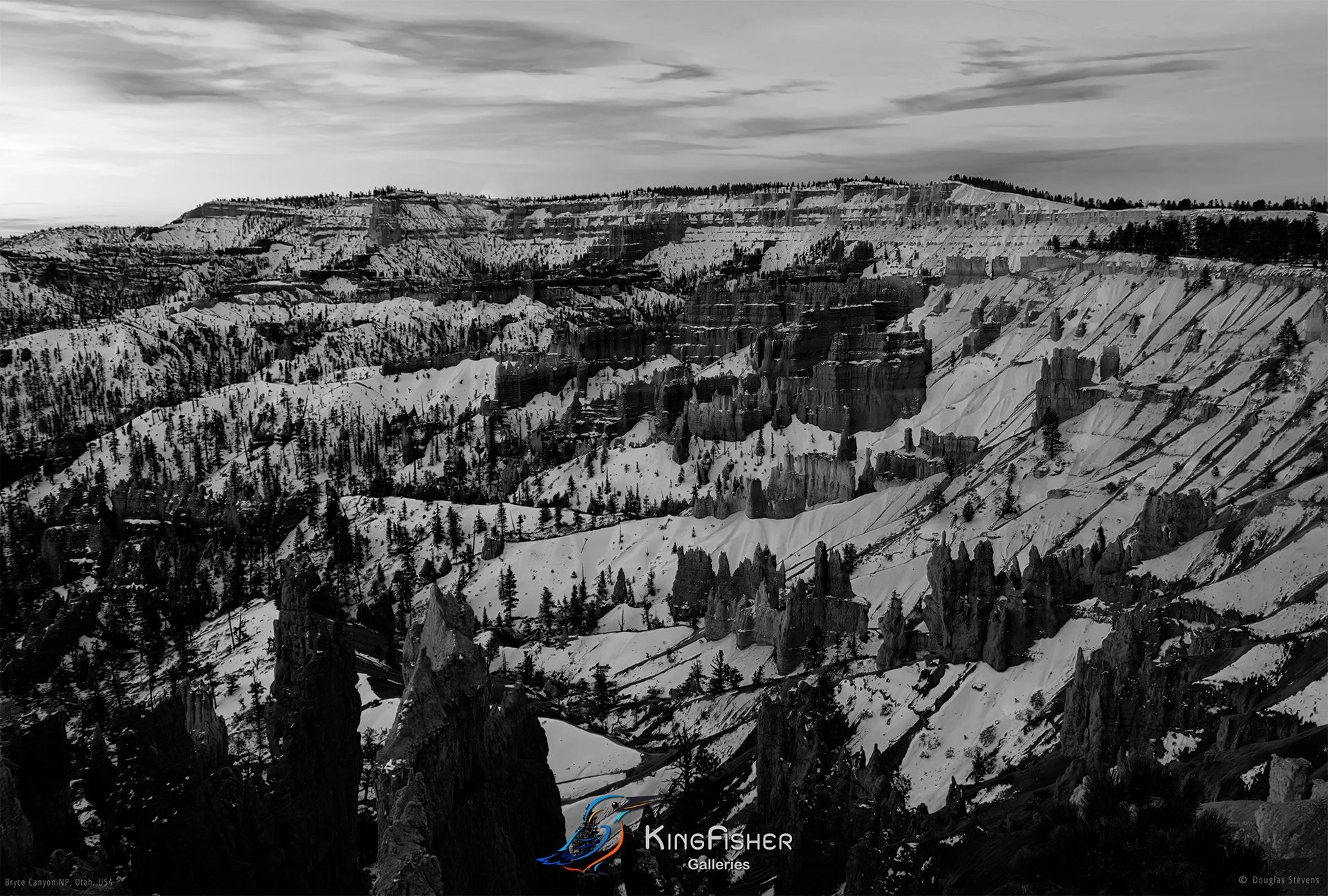 001_DST_Bryce_Canyon_NP_UT_USA_2012_L_BW.jpg
