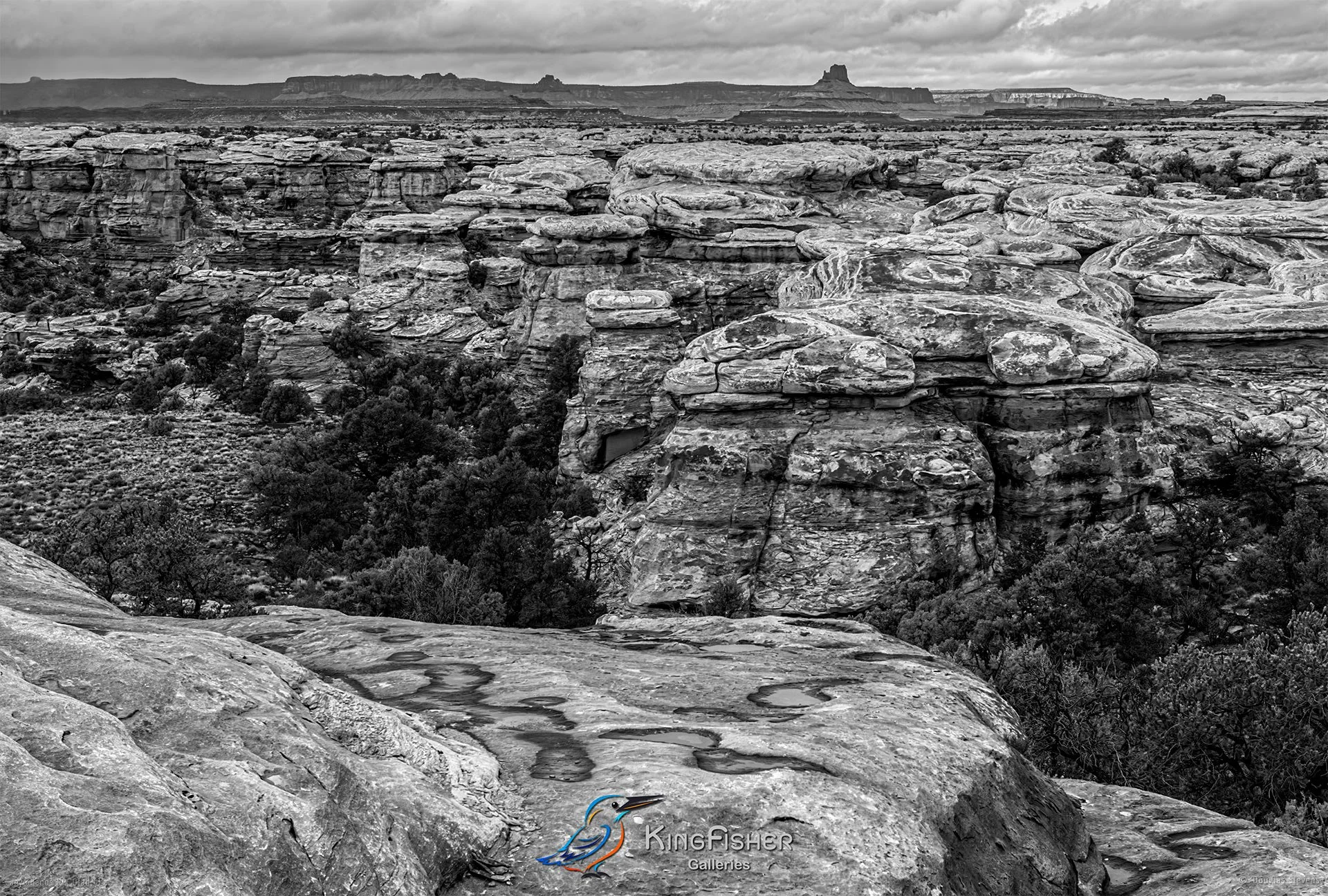 102_DST_Canyonlands_NP_UT_USA_2012_L_BW.jpg