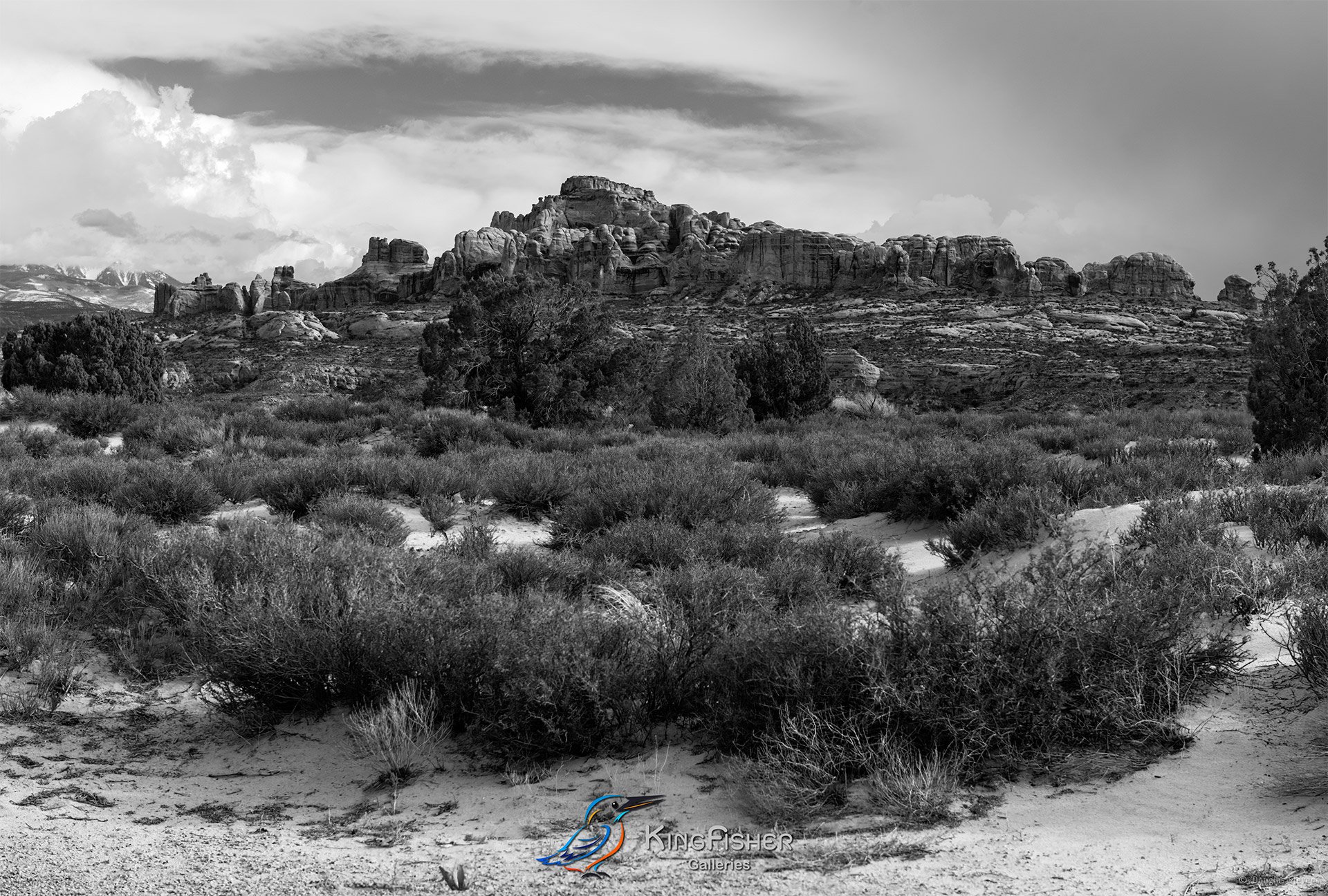 036_DST_Arches_NP_UT_USA_2012_L_BW.jpg