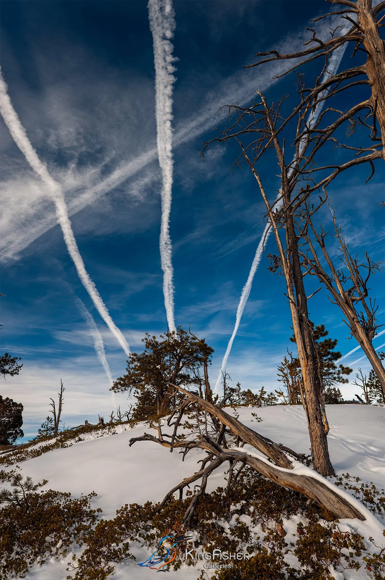 034_DST_Bryce_Canyon_NP_UT_USA_2012_P.jpg