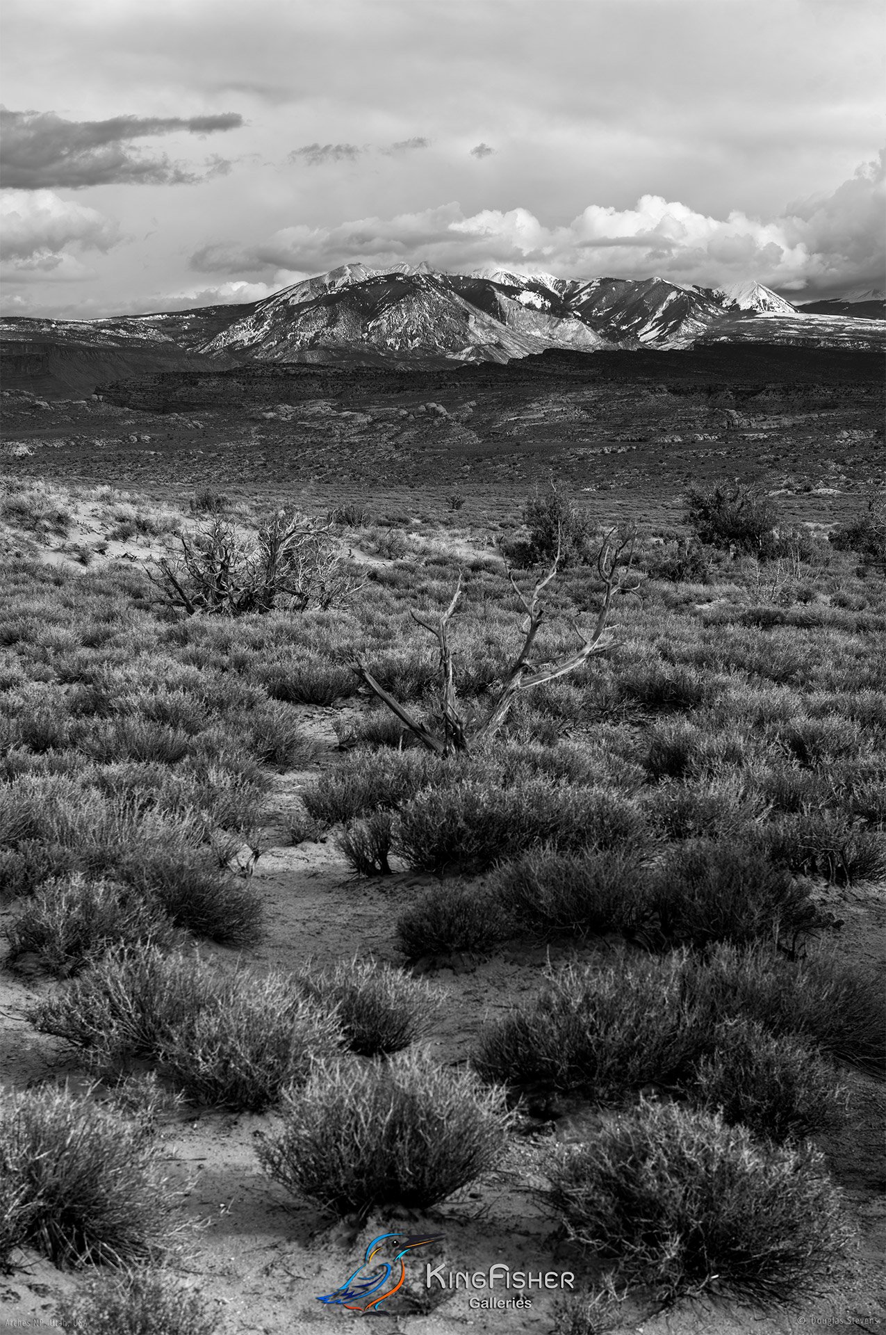 059_DST_Arches_NP_UT_USA_2012_P_BW.jpg