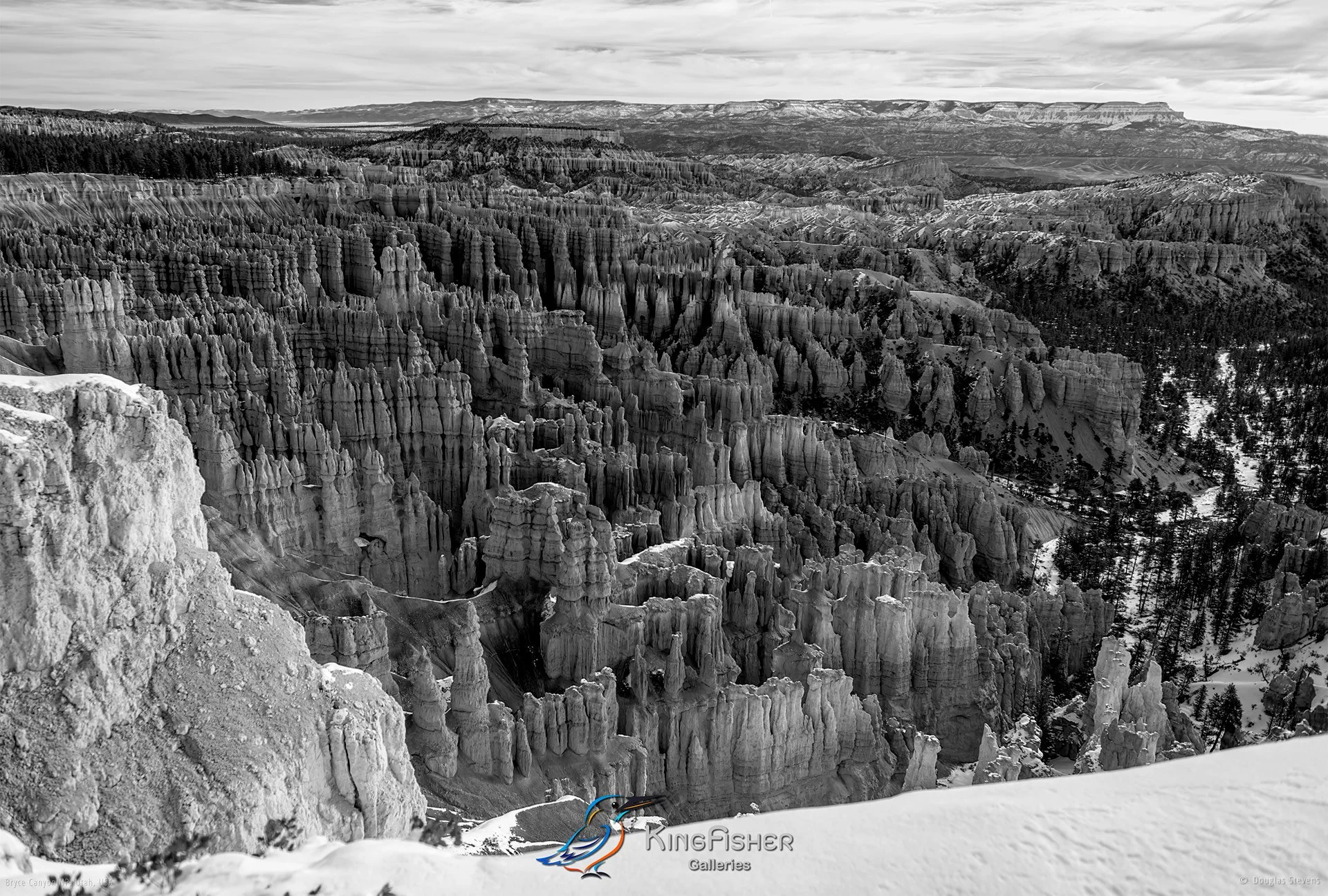 038_DST_Bryce_Canyon_NP_UT_USA_2012_L_BW.jpg