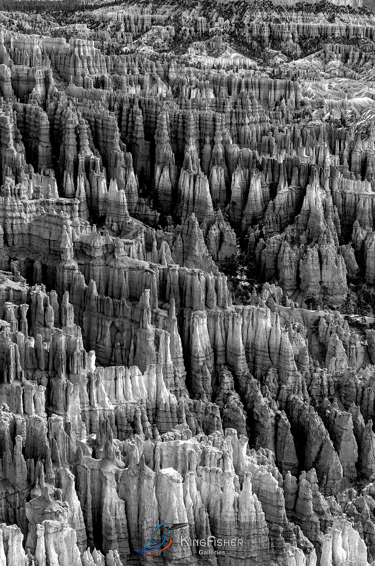 027_DST_Bryce_Canyon_NP_UT_USA_2012_P_BW.jpg