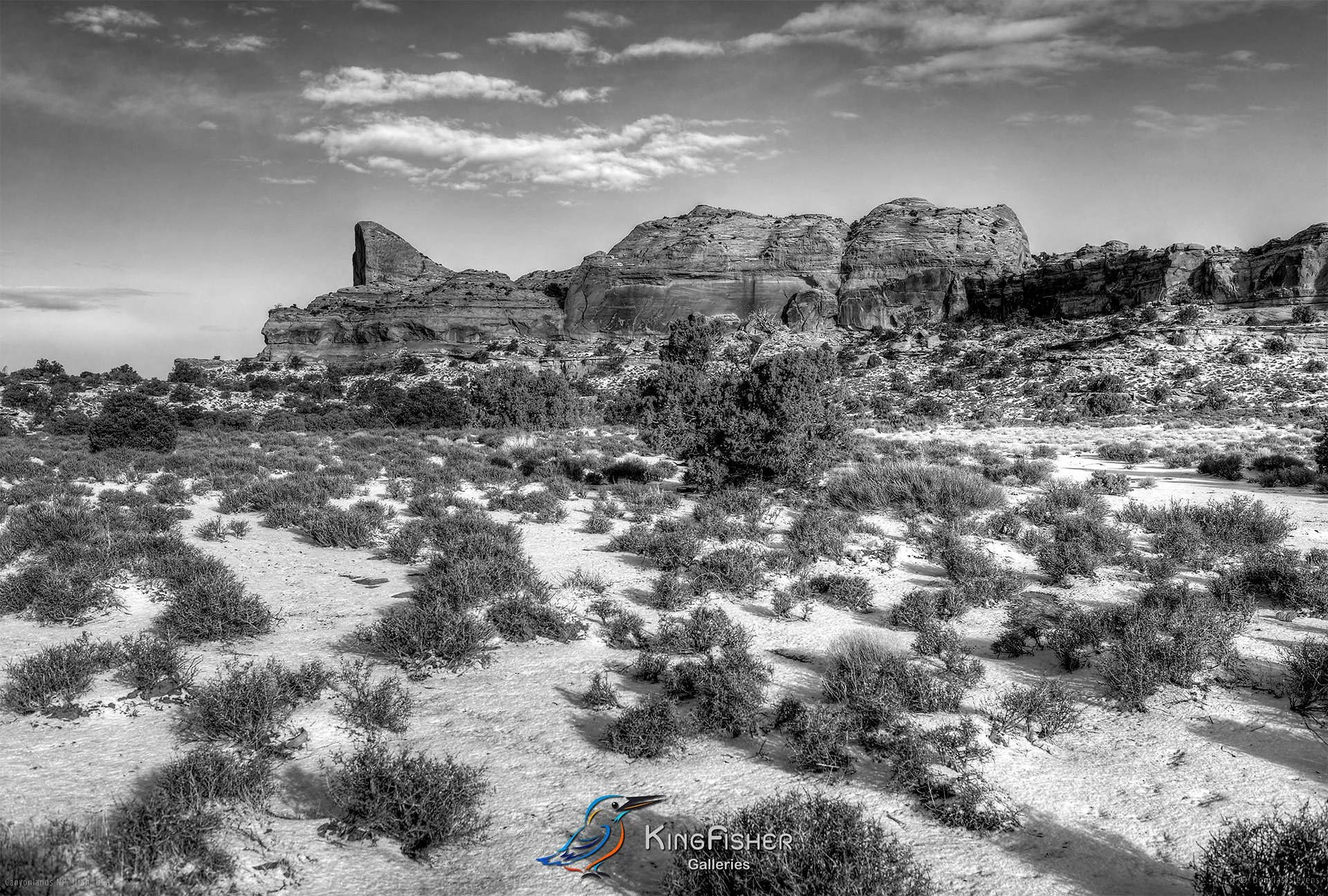 044_DST_Canyonlands_NP_UT_USA_2012_L_BW.jpg