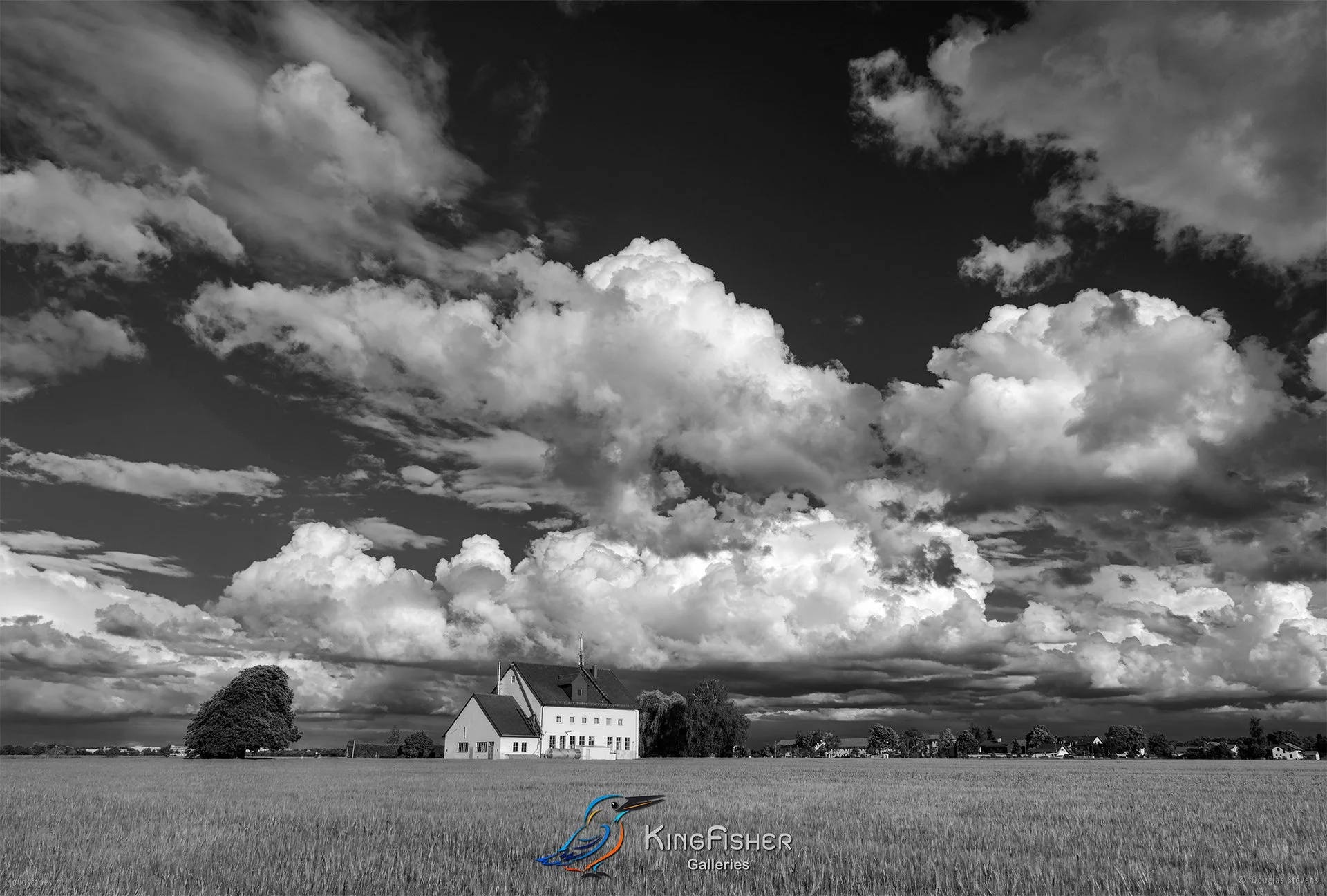 068_DST_Cloudscapes_2012_L_BW.jpg