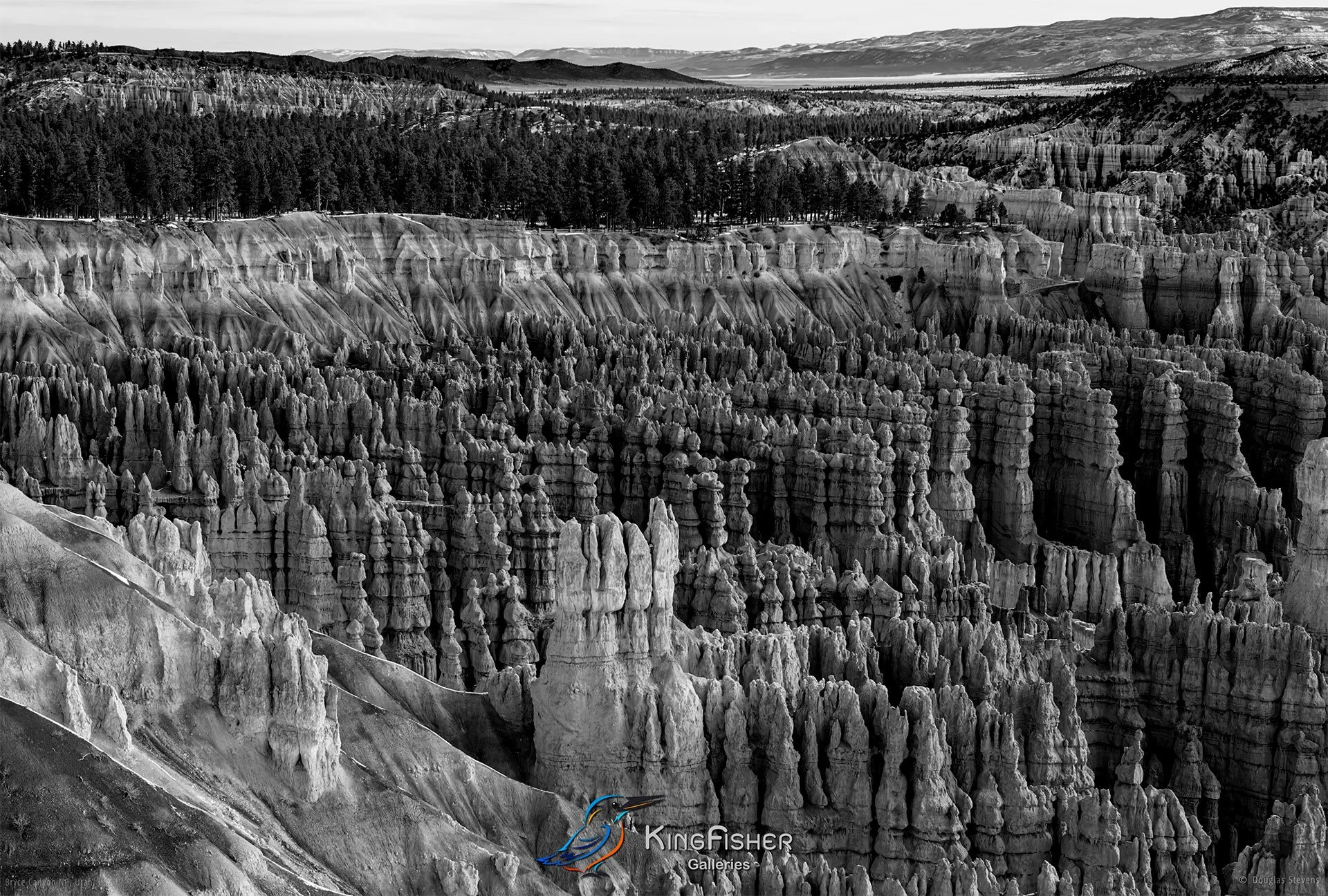 036_DST_Bryce_Canyon_NP_UT_USA_2012_L_BW.jpg