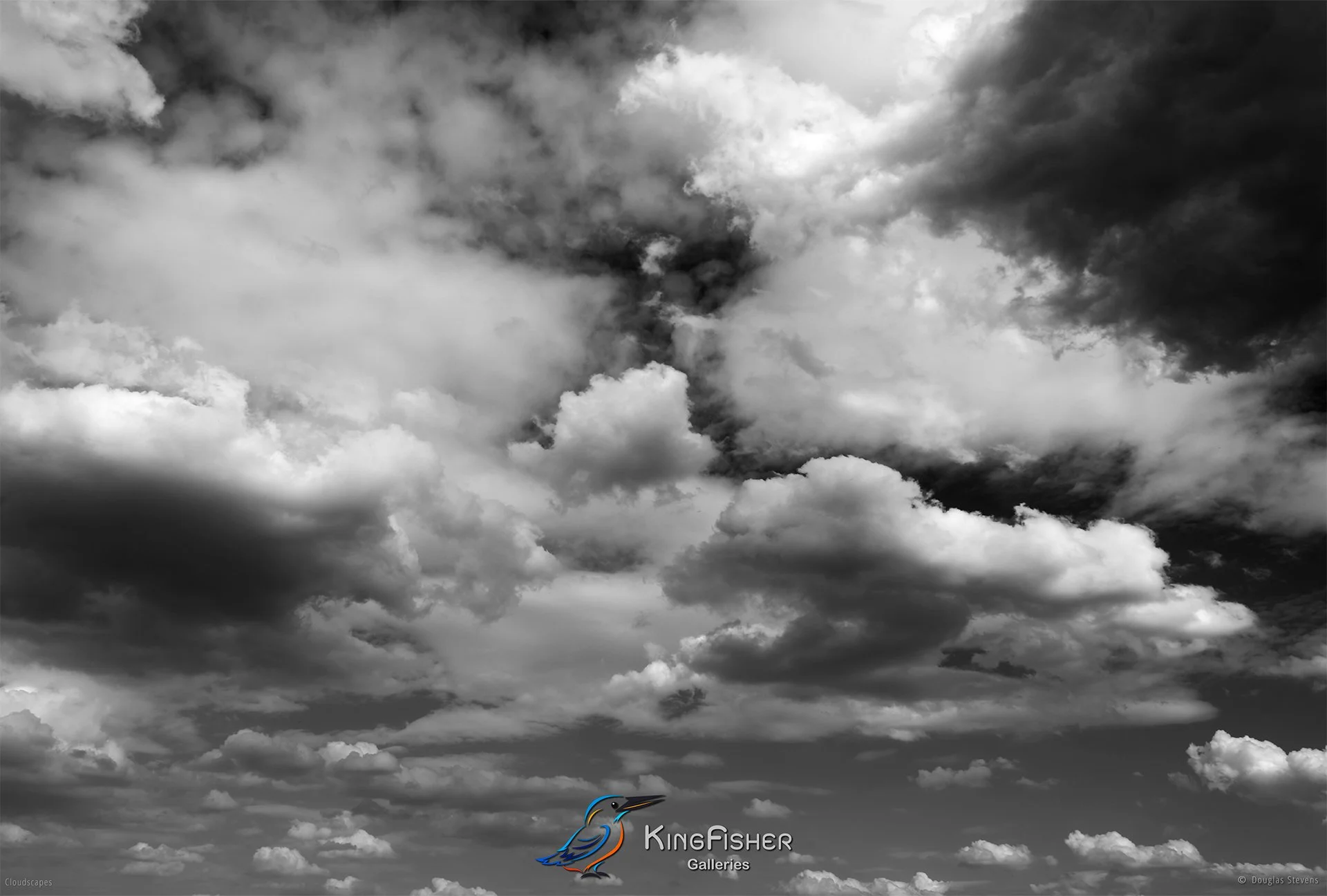 062_DST_Cloudscapes_2012_L_BW.jpg