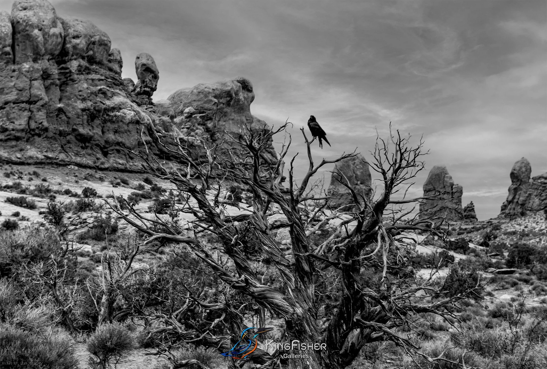 010_DST_Arches_NP_UT_USA_2012_L_BW.jpg