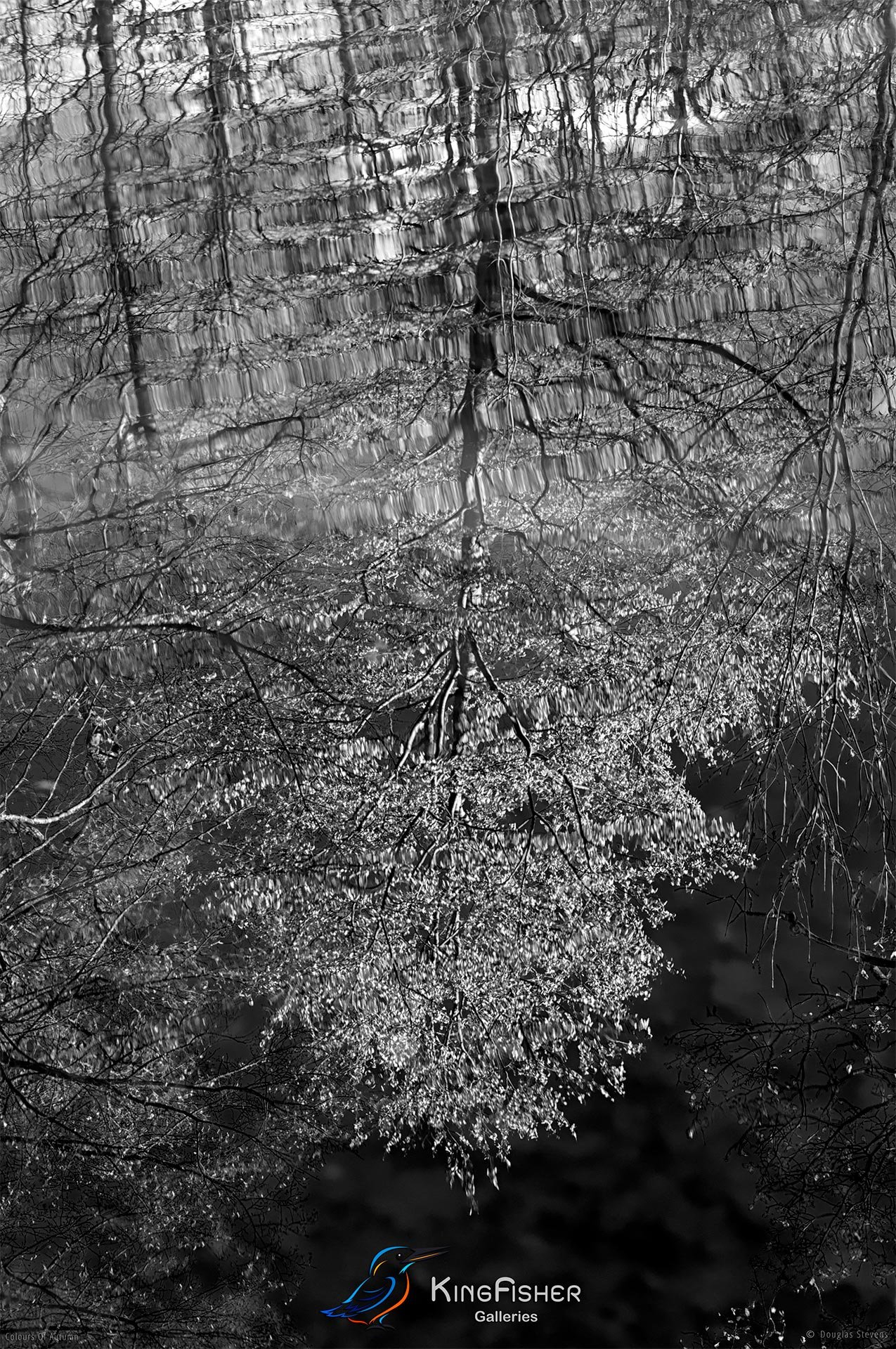 054_DST_Colours_Of_Autumn_P_BW.jpg