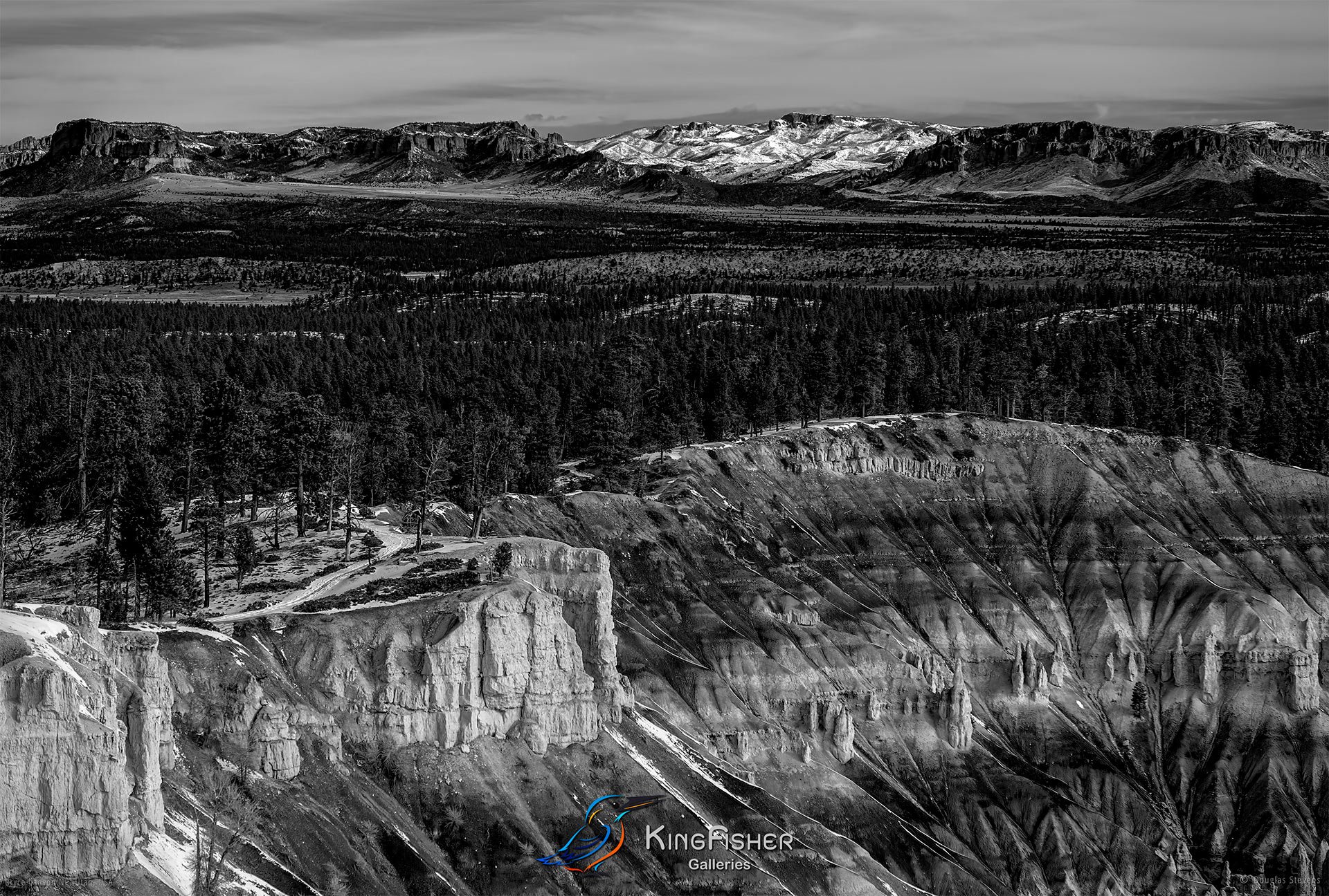 021_DST_Bryce_Canyon_NP_UT_USA_2012_L_BW.jpg