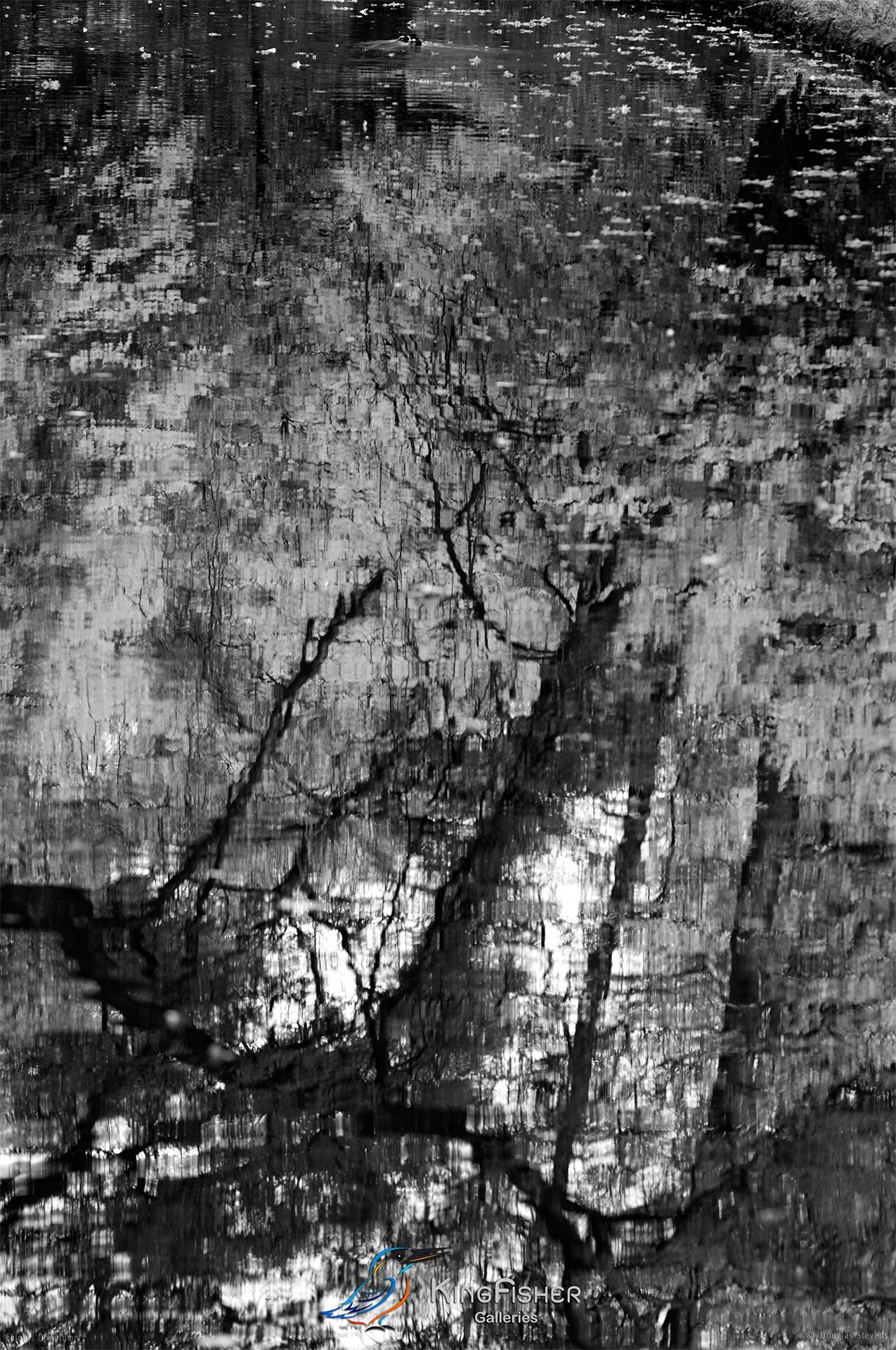 026_DST_Colours_Of_Autumn_P_BW.jpg