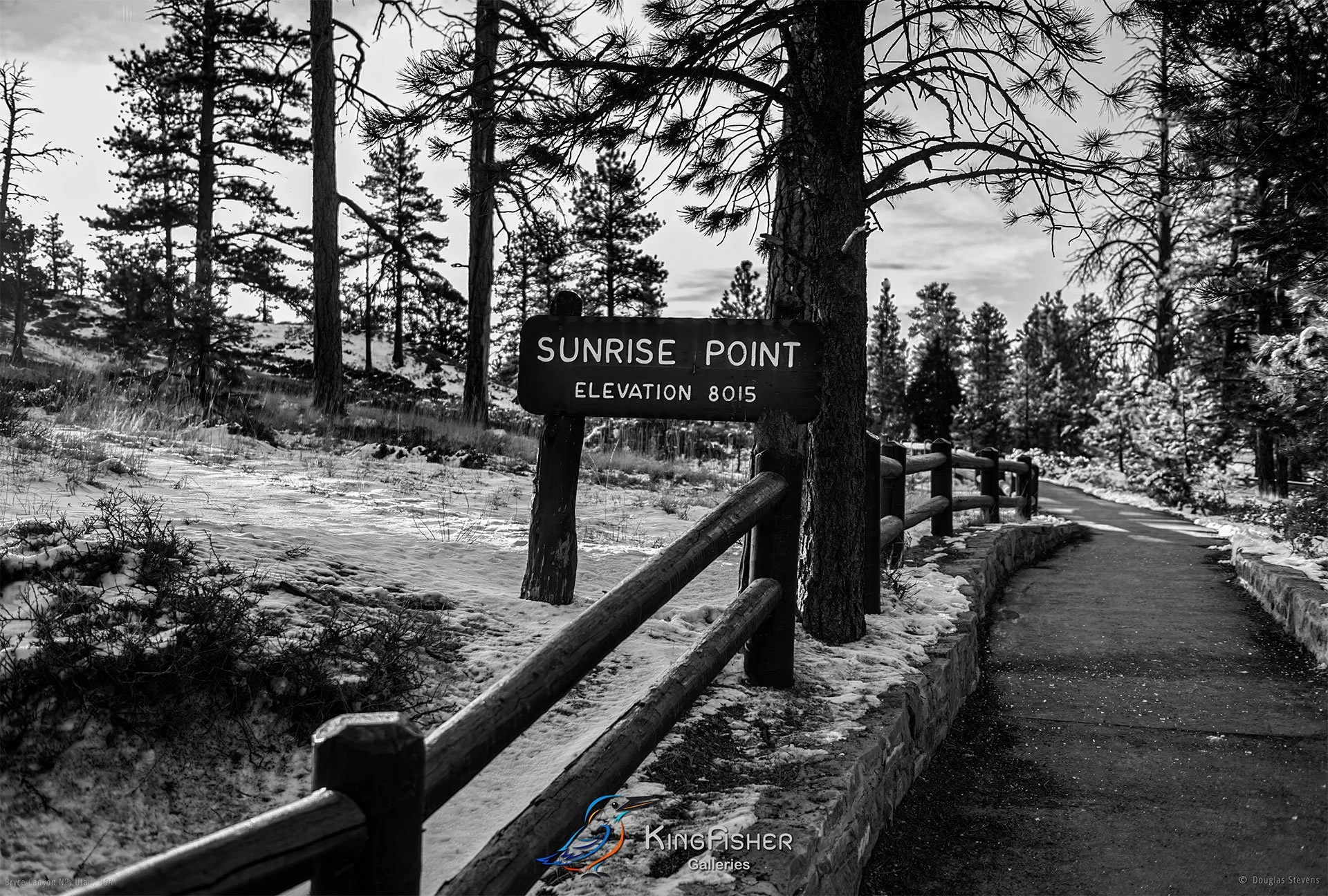 048_DST_Bryce_Canyon_NP_UT_USA_2012_L_BW.jpg
