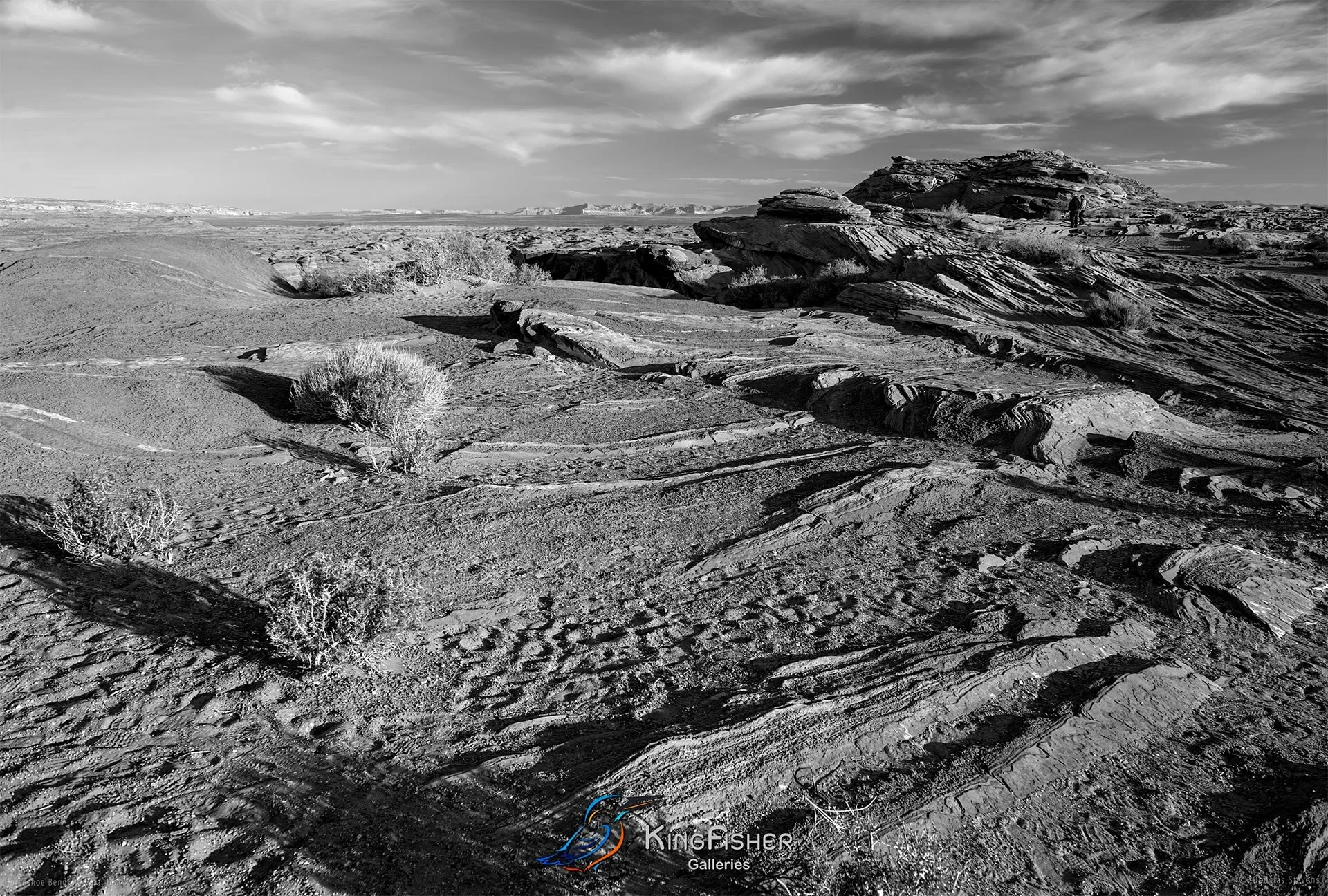 003_DST_Horseshoe_Bend_AZ_USA_2012_L_BW.jpg