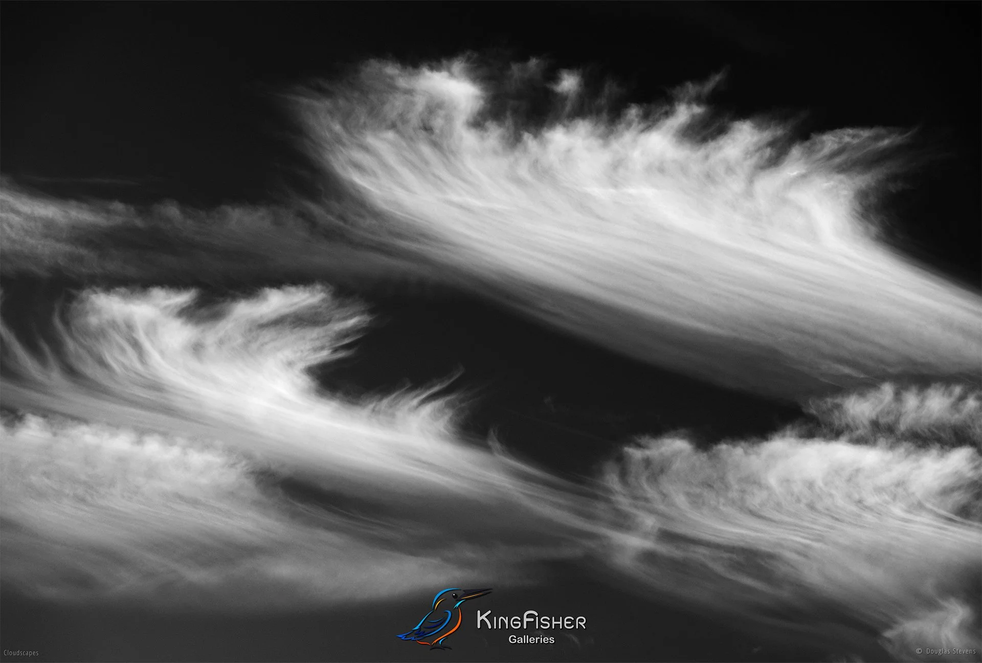099_DST_Cloudscapes_2014_L_BW.jpg