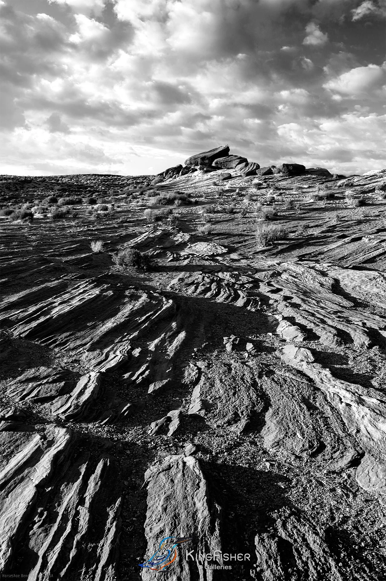 012_DST_Horseshoe_Bend_AZ_USA_2012_P_BW.jpg