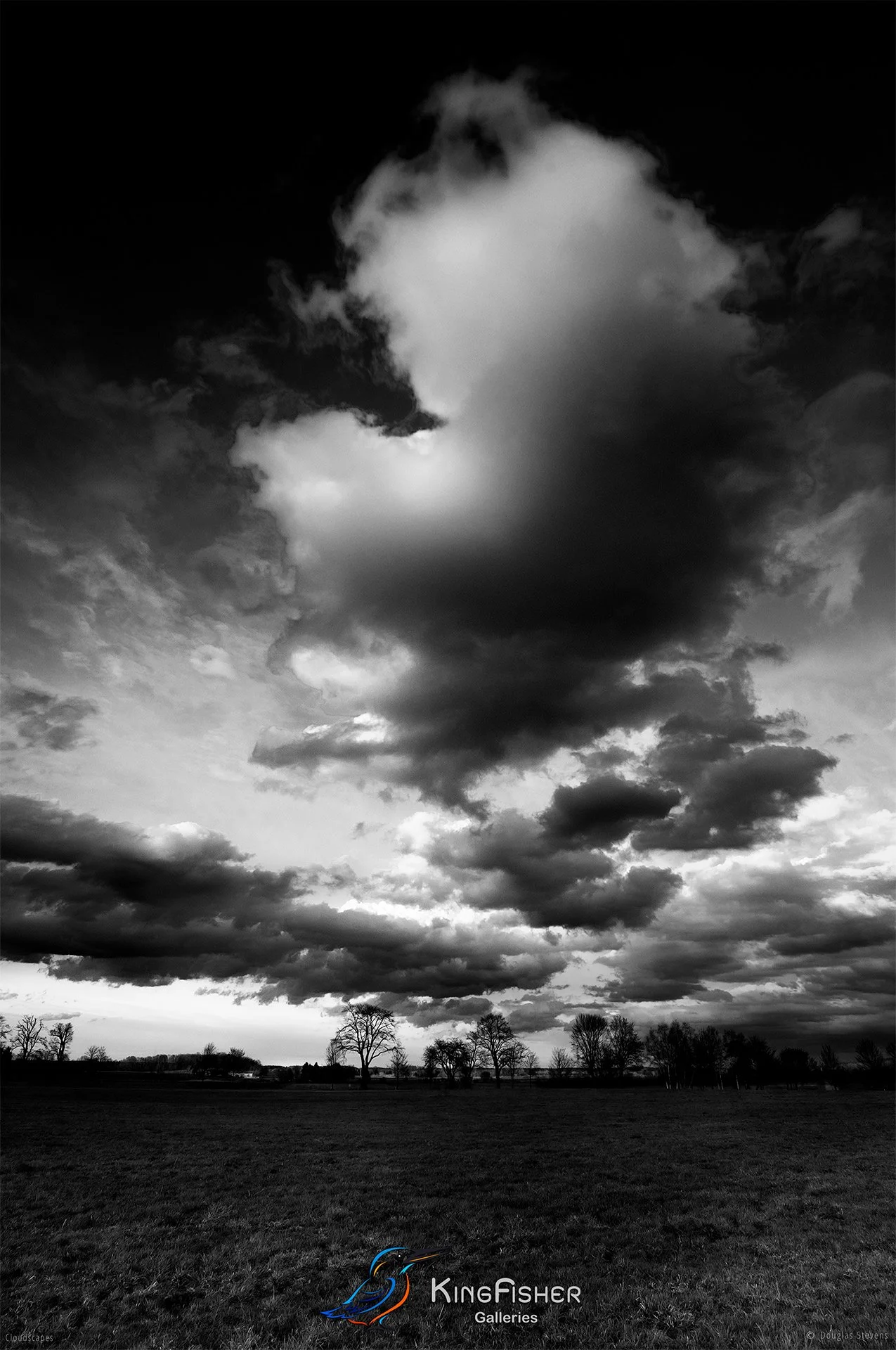013_DST_Cloudscapes_2010_P_BW.jpg
