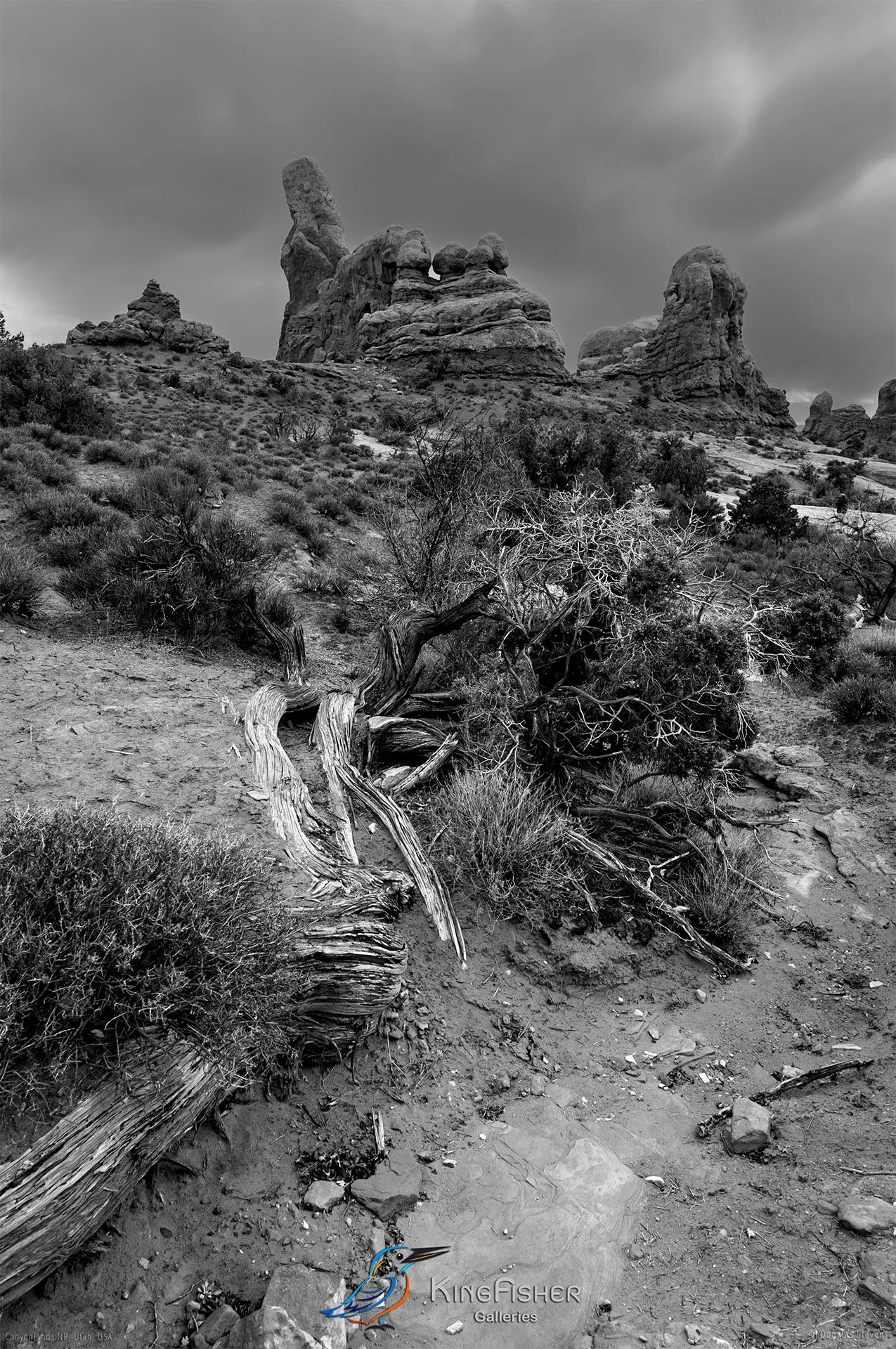 106_DST_Canyonlands_NP_UT_USA_2012_P_BW.jpg