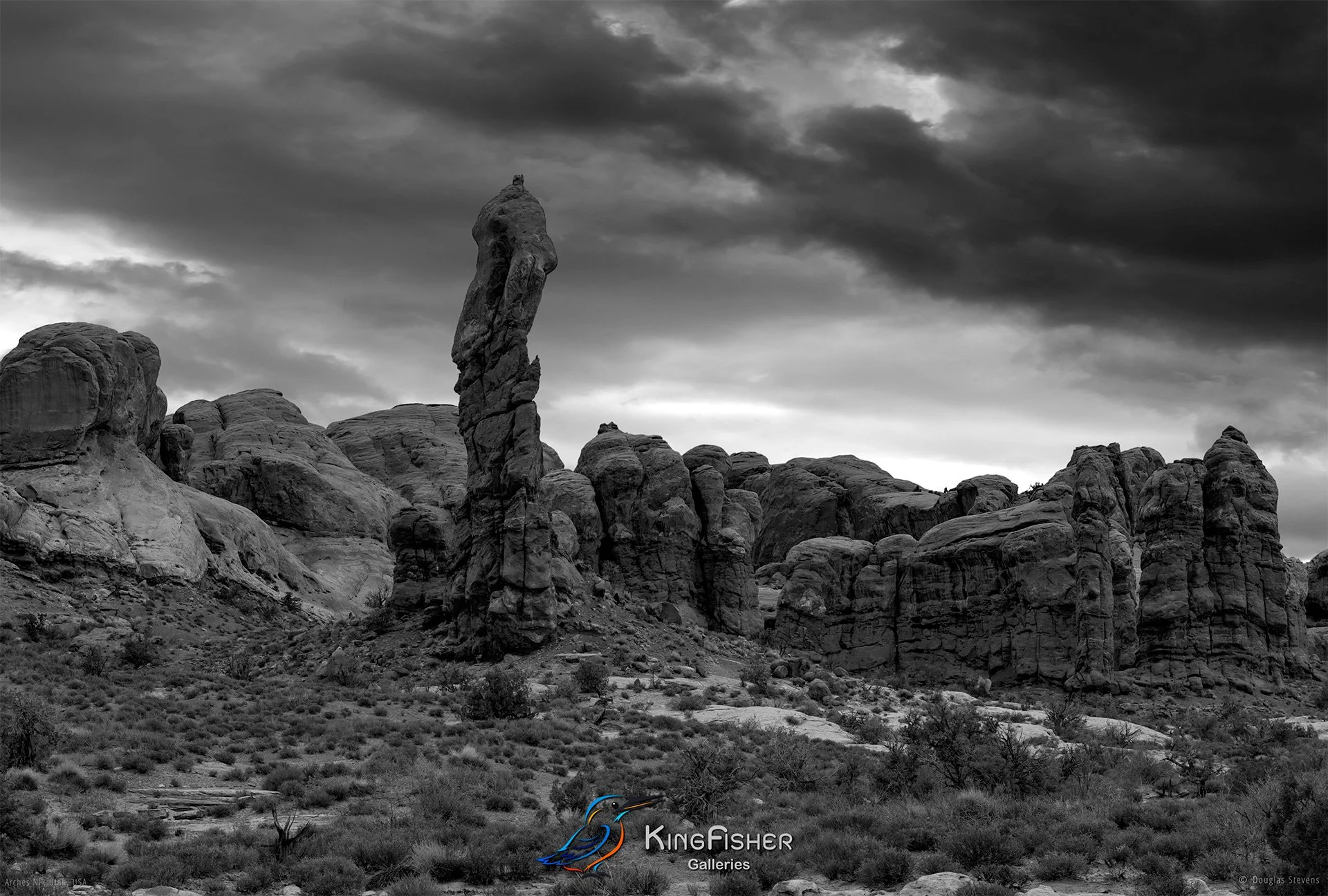 027_DST_Arches_NP_UT_USA_2012_L_BW.jpg