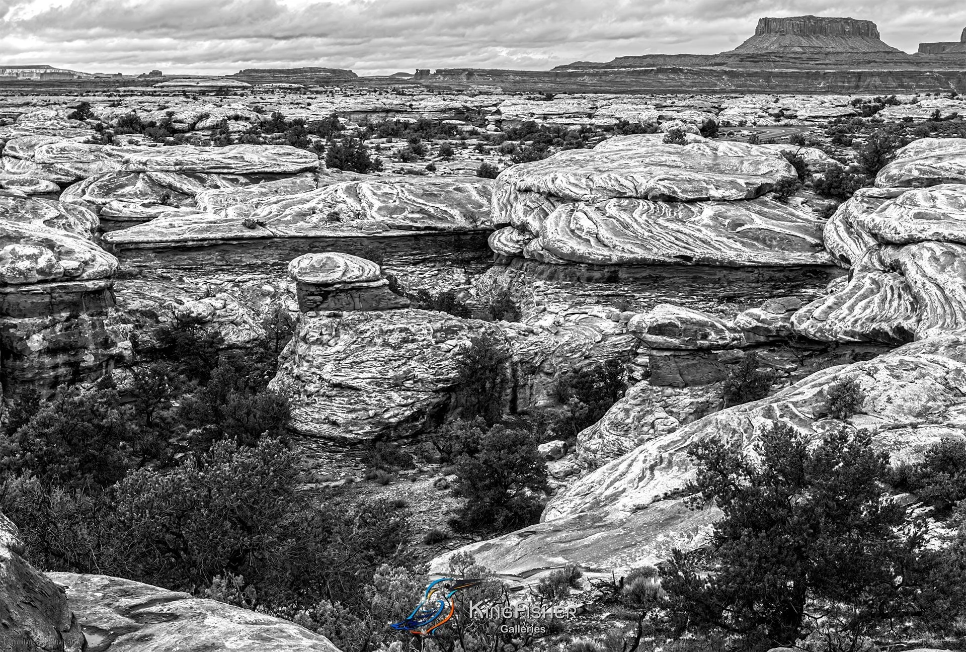 103_DST_Canyonlands_NP_UT_USA_2012_L_BW.jpg