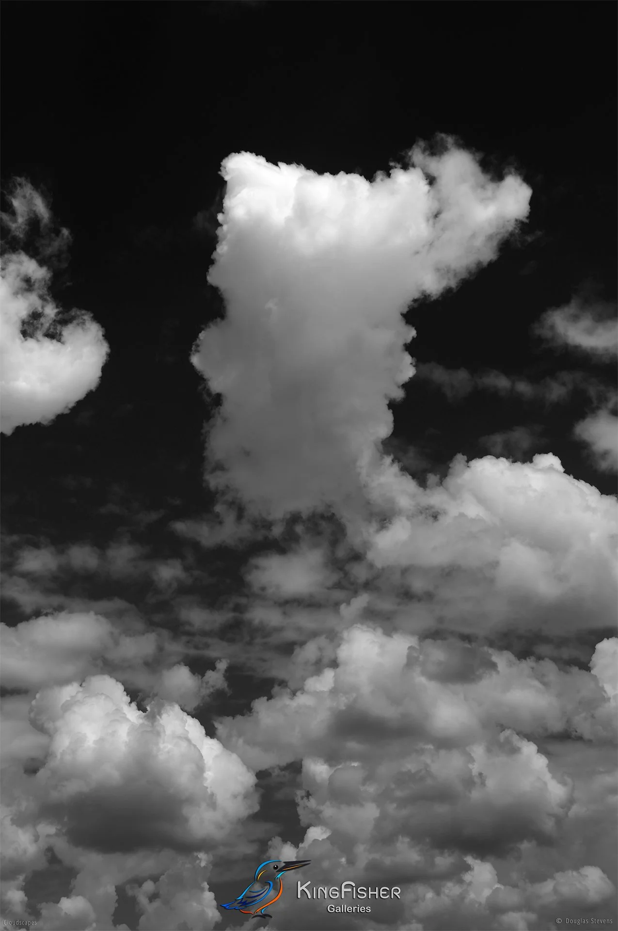 061_DST_Cloudscapes_2012_P_BW.jpg