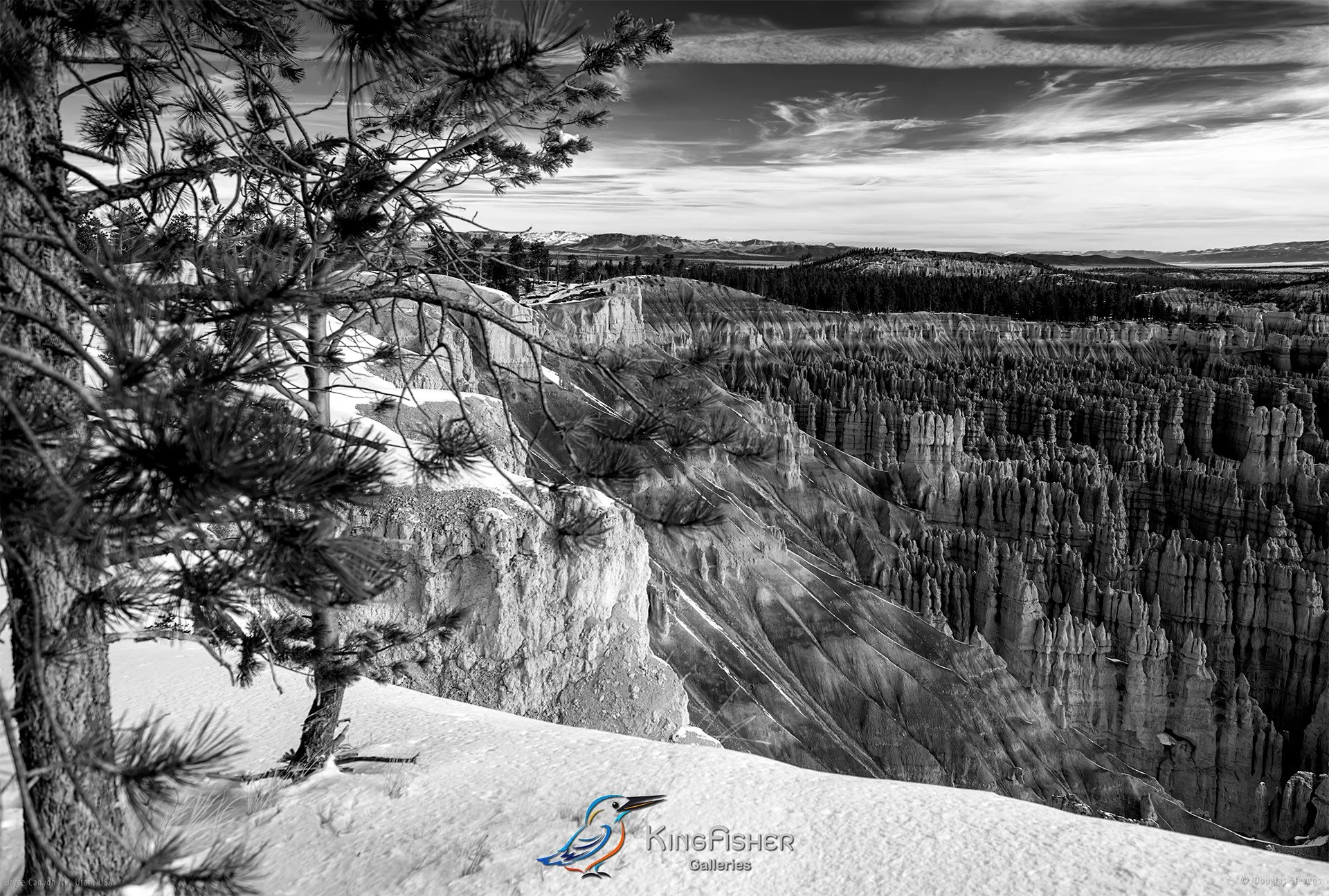 039_DST_Bryce_Canyon_NP_UT_USA_2012_L_BW.jpg
