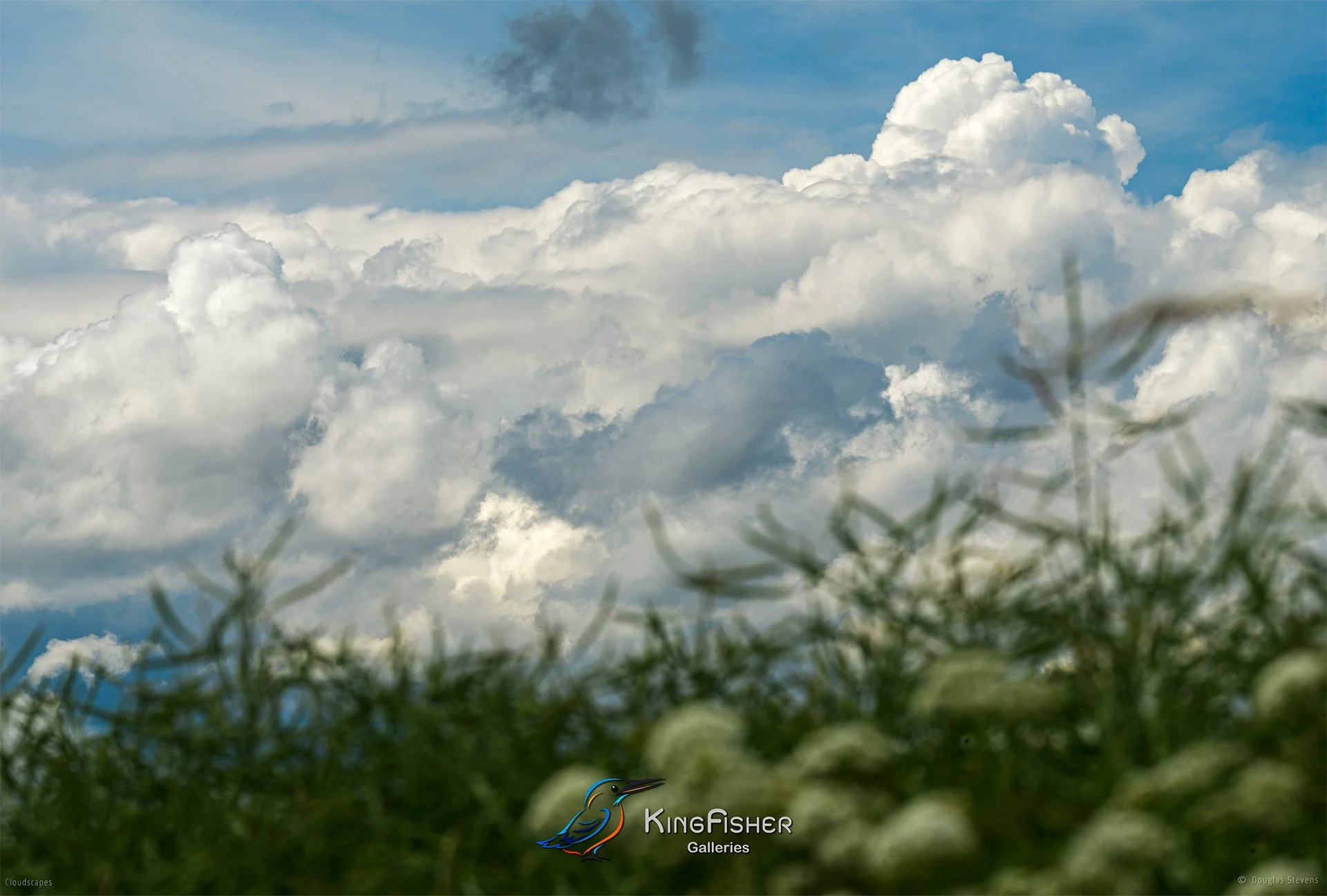 142_DST_Cloudscapes_2016_L.jpg