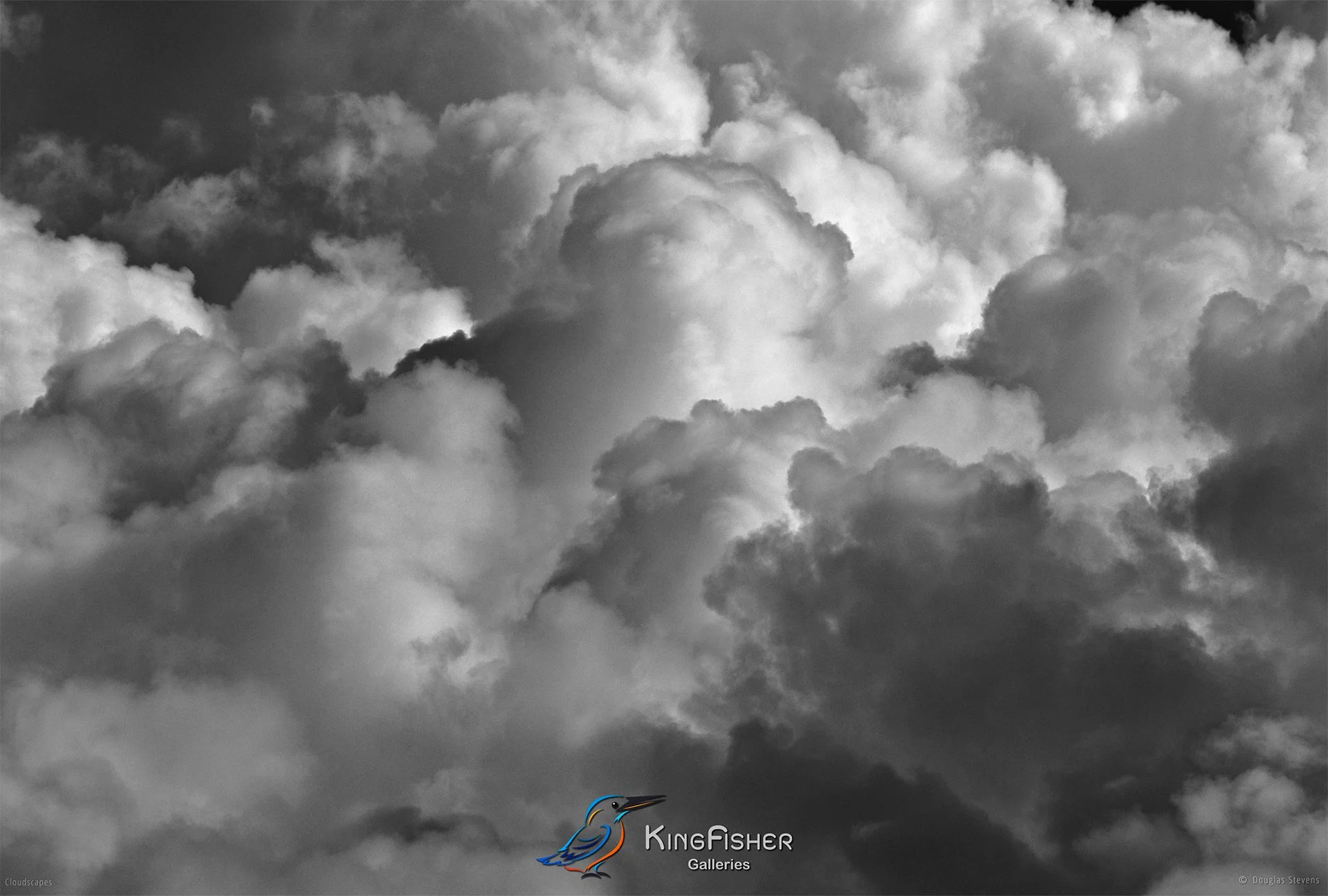 007_DST_Cloudscapes_2010_L_BW.jpg