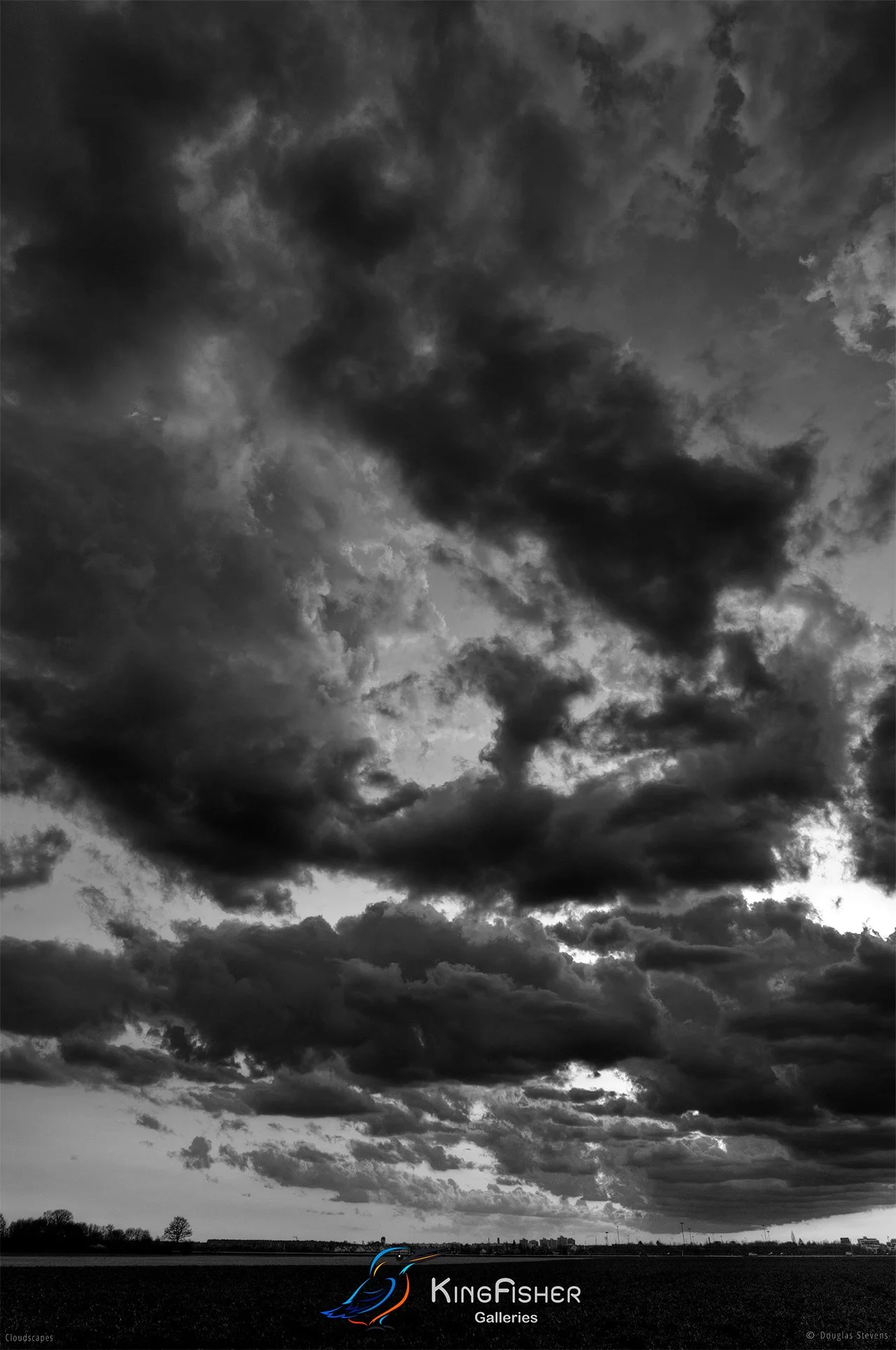 035_DST_Cloudscapes_2011_P_BW.jpg