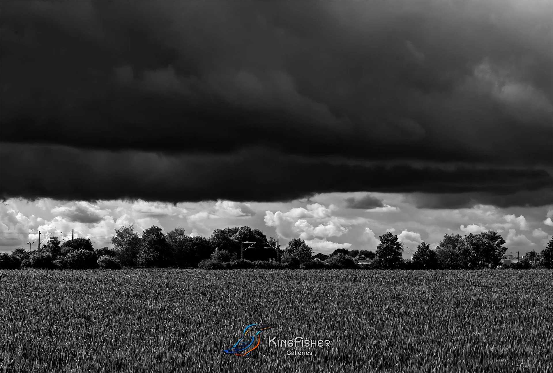 136_DST_Cloudscapes_2016_L_BW.jpg