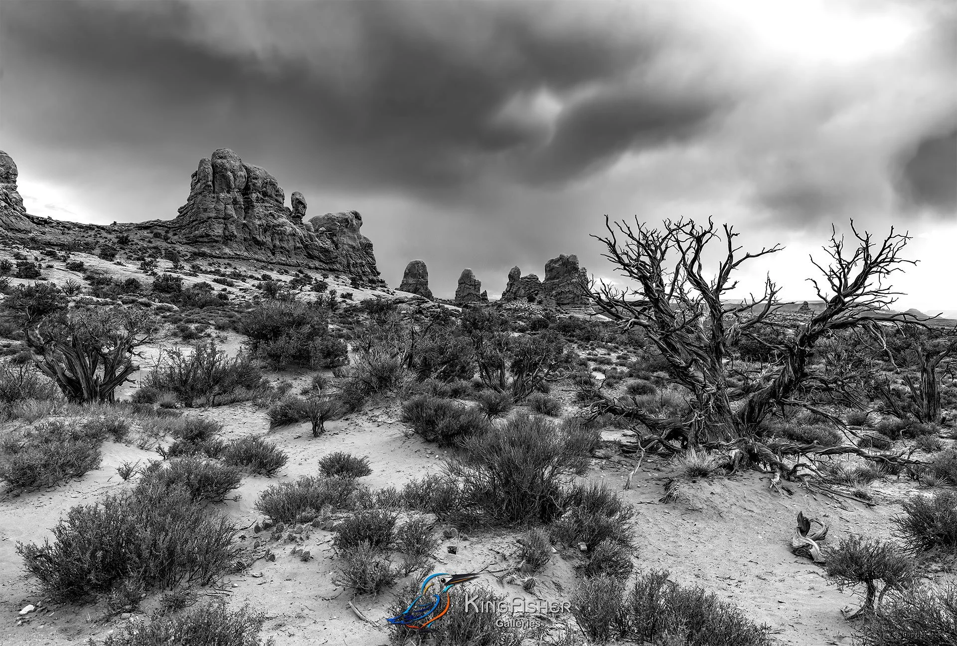 031_DST_Arches_NP_UT_USA_2012_L_BW.jpg