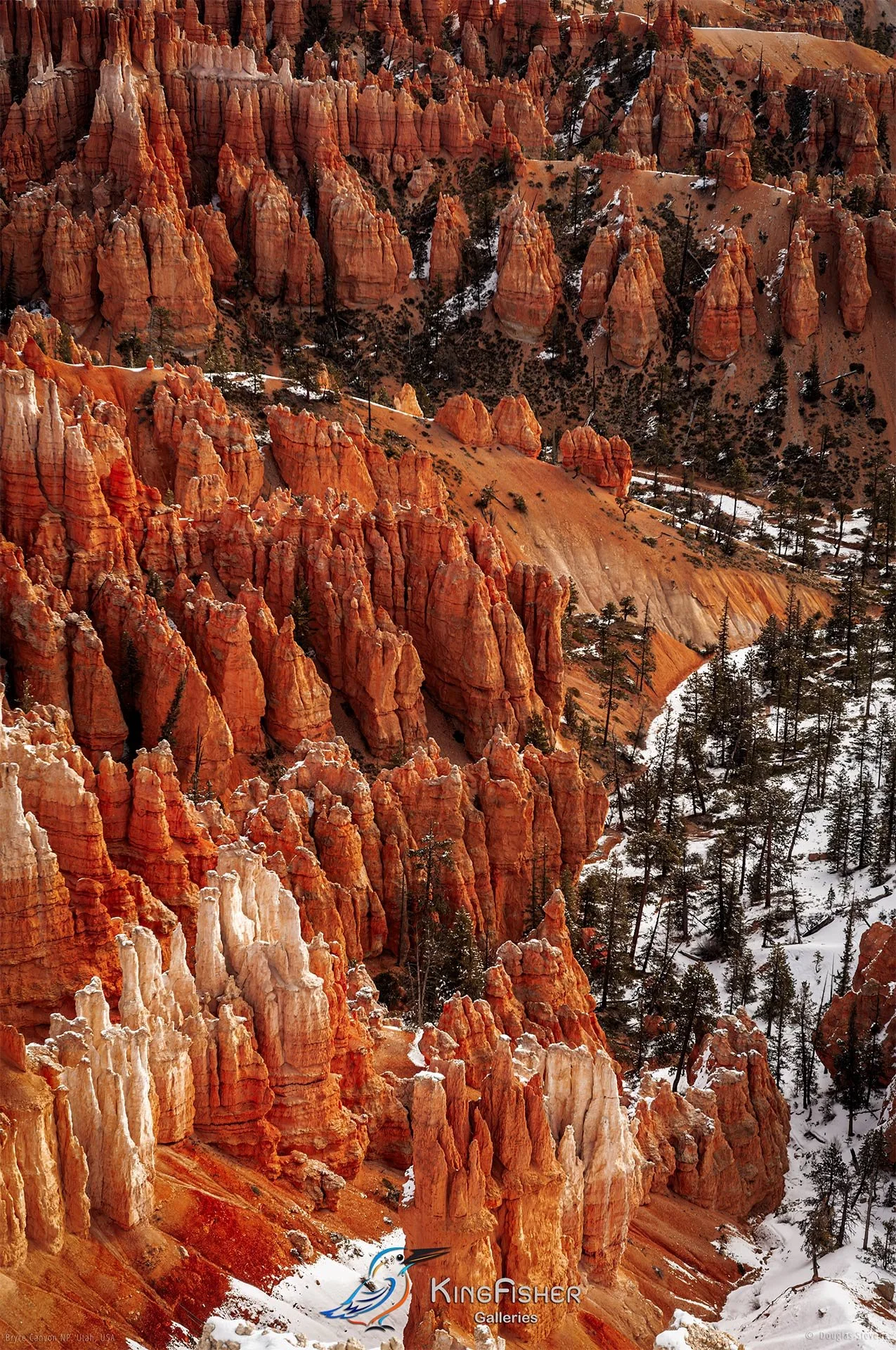 026_DST_Bryce_Canyon_NP_UT_USA_2012_P.jpg