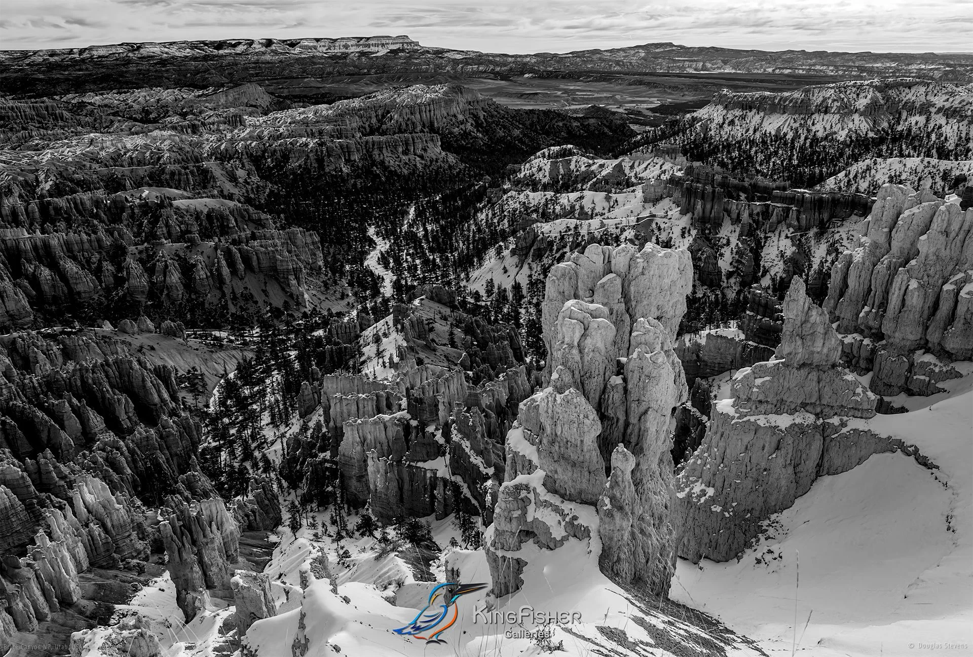 025_DST_Bryce_Canyon_NP_UT_USA_2012_L_BW.jpg