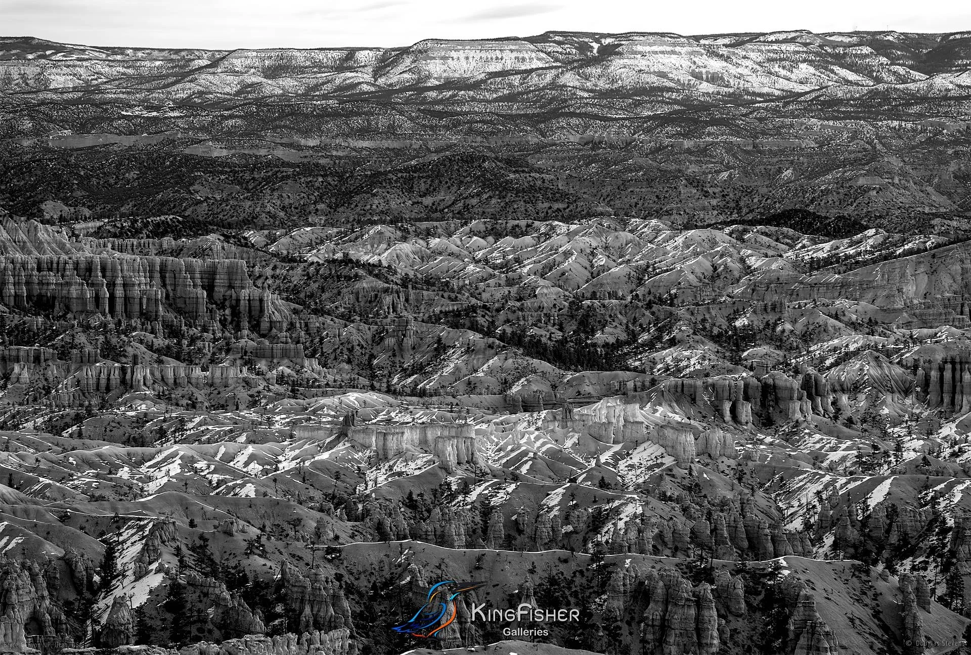 019_DST_Bryce_Canyon_NP_UT_USA_2012_L_BW.jpg