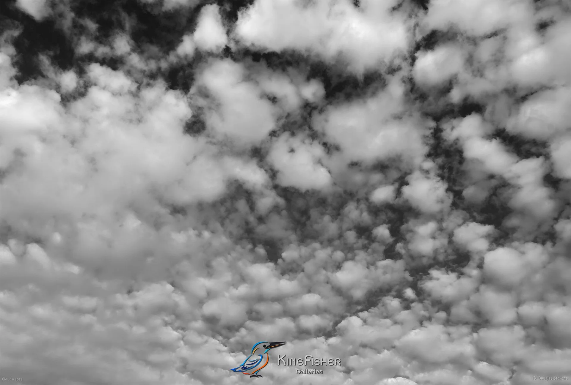 042_DST_Cloudscapes_2011_L_BW.jpg