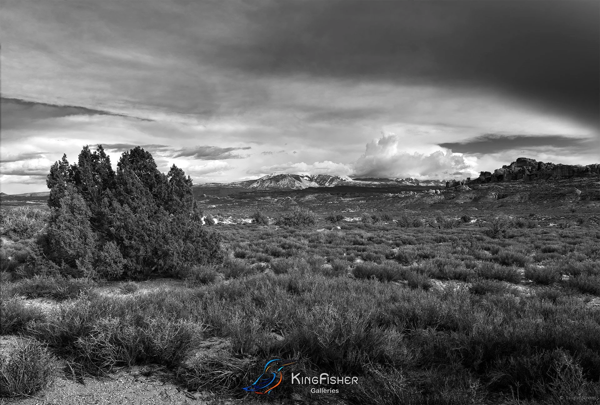 034_DST_Arches_NP_UT_USA_2012_L_BW.jpg