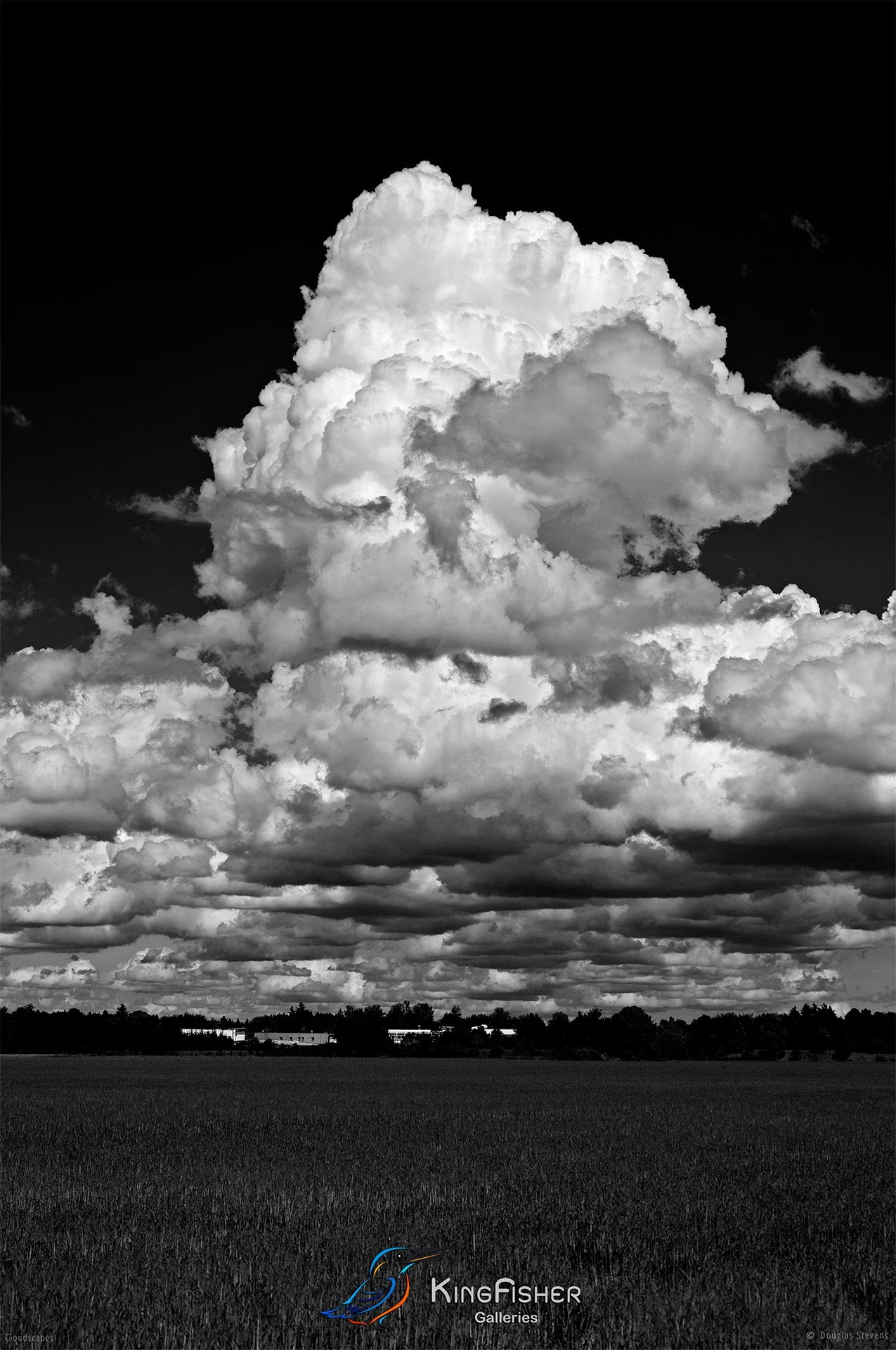 019_DST_Cloudscapes_2010_P_BW.jpg