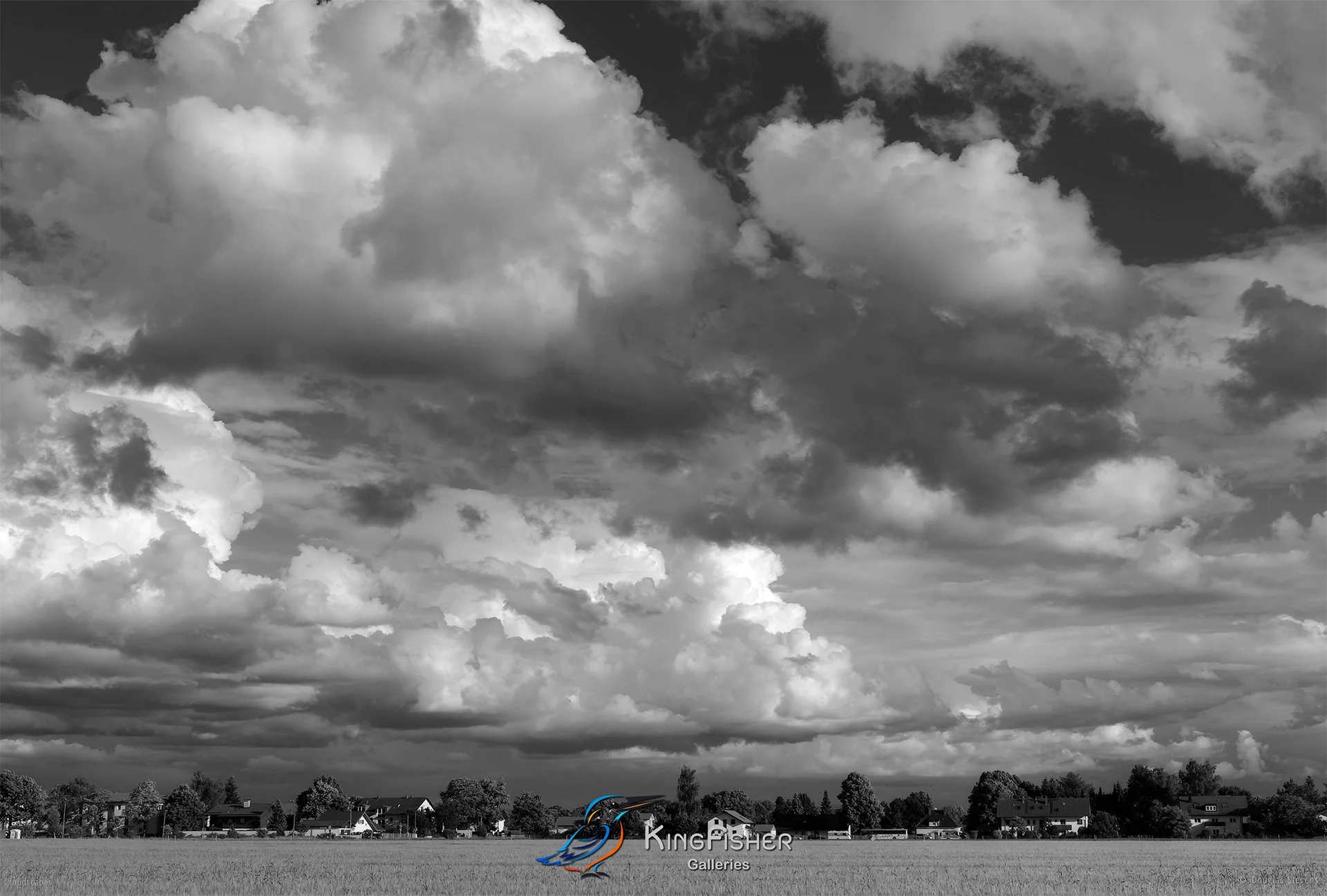 070_DST_Cloudscapes_2012_L_BW.jpg