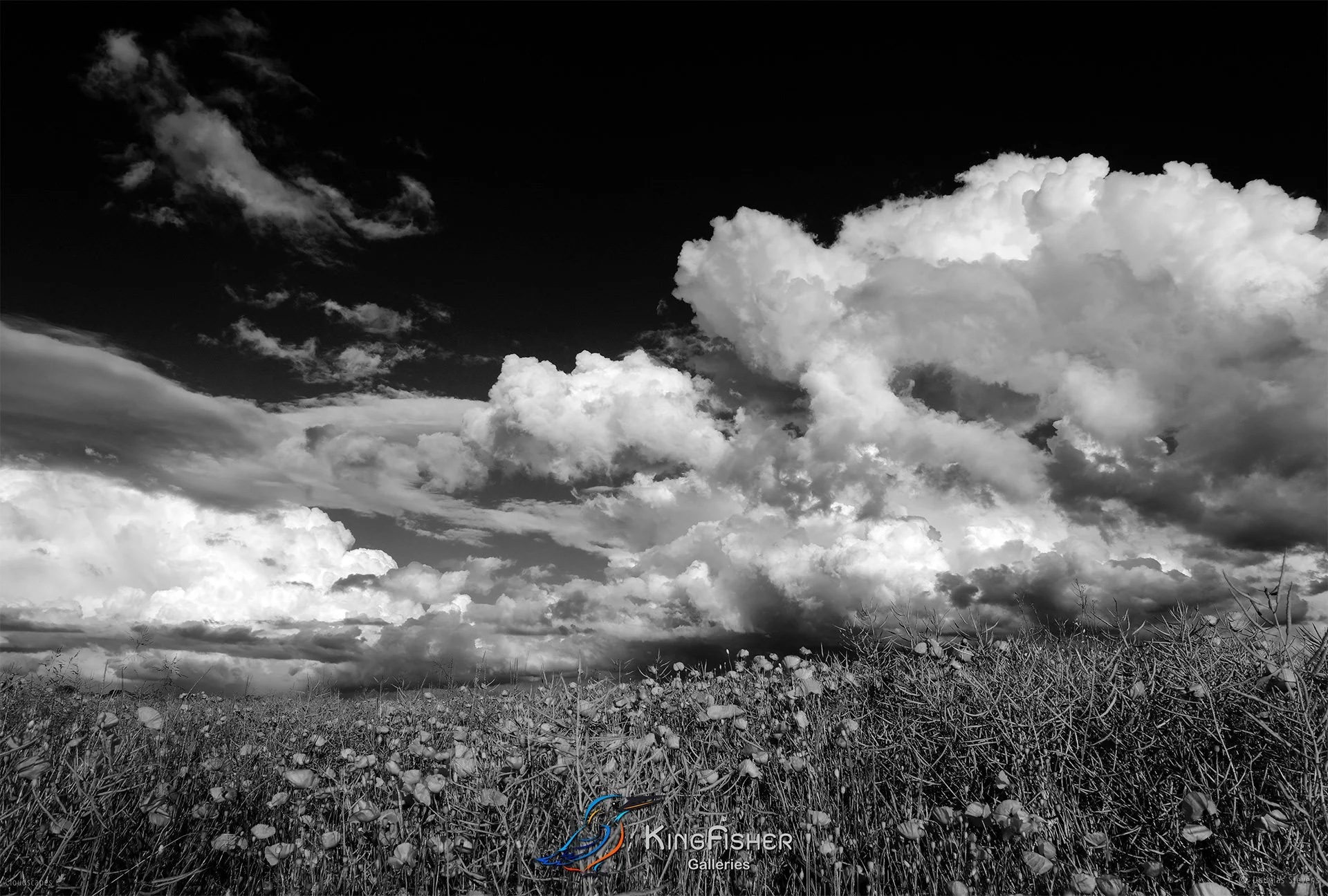 071_DST_Cloudscapes_2012_L_BW.jpg