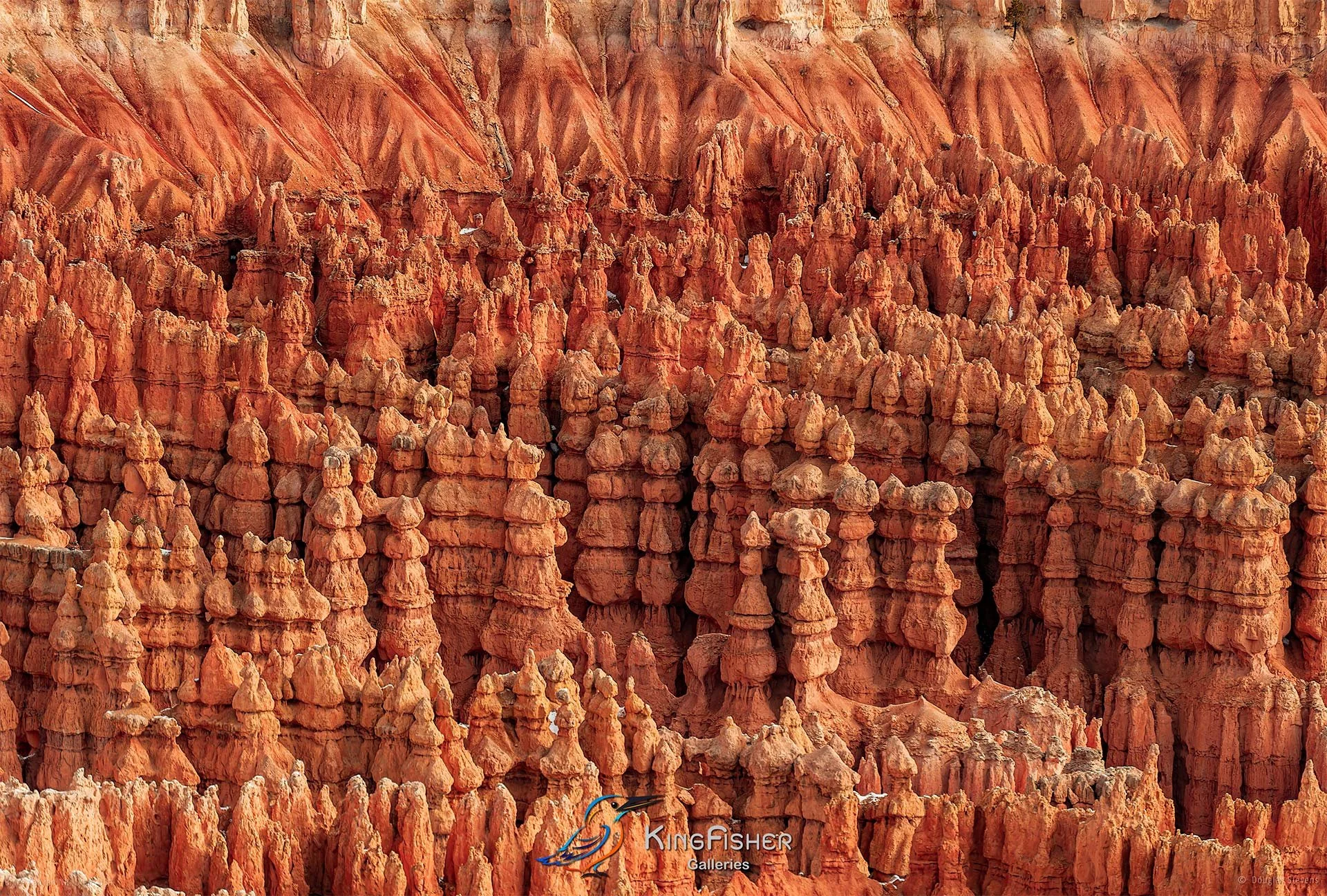013_DST_Bryce_Canyon_NP_UT_USA_2012_L.jpg