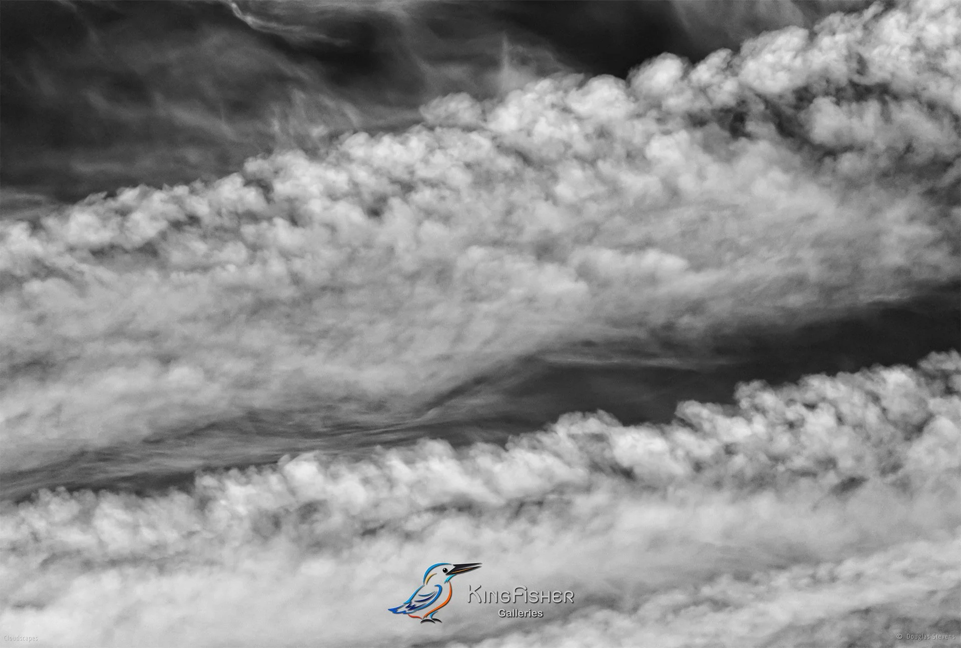 129_DST_Cloudscapes_2016_L_BW.jpg