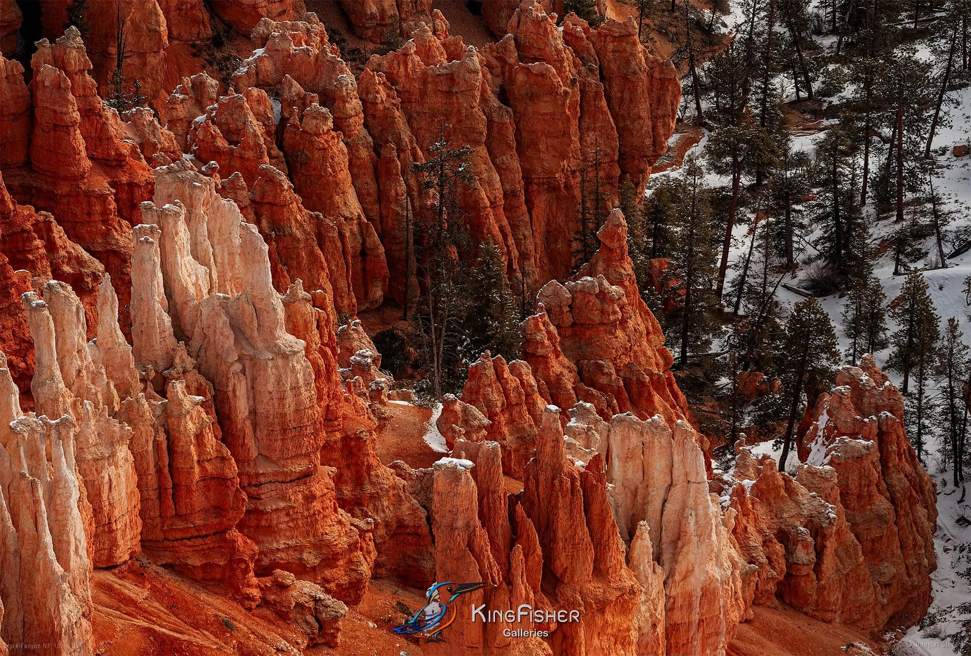 022_DST_Bryce_Canyon_NP_UT_USA_2012_L.jpg