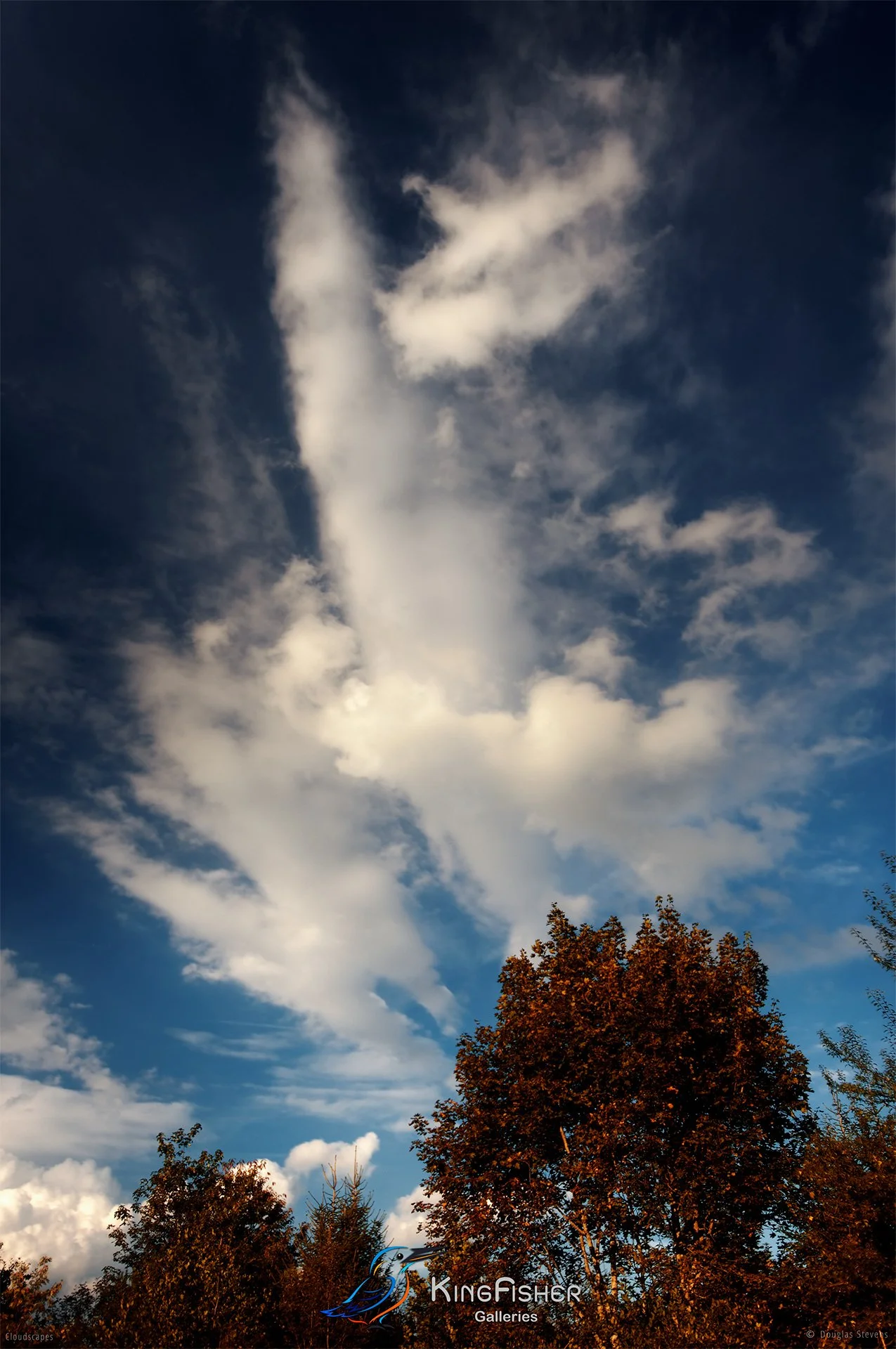 052_DST_Cloudscapes_2012_P.jpg