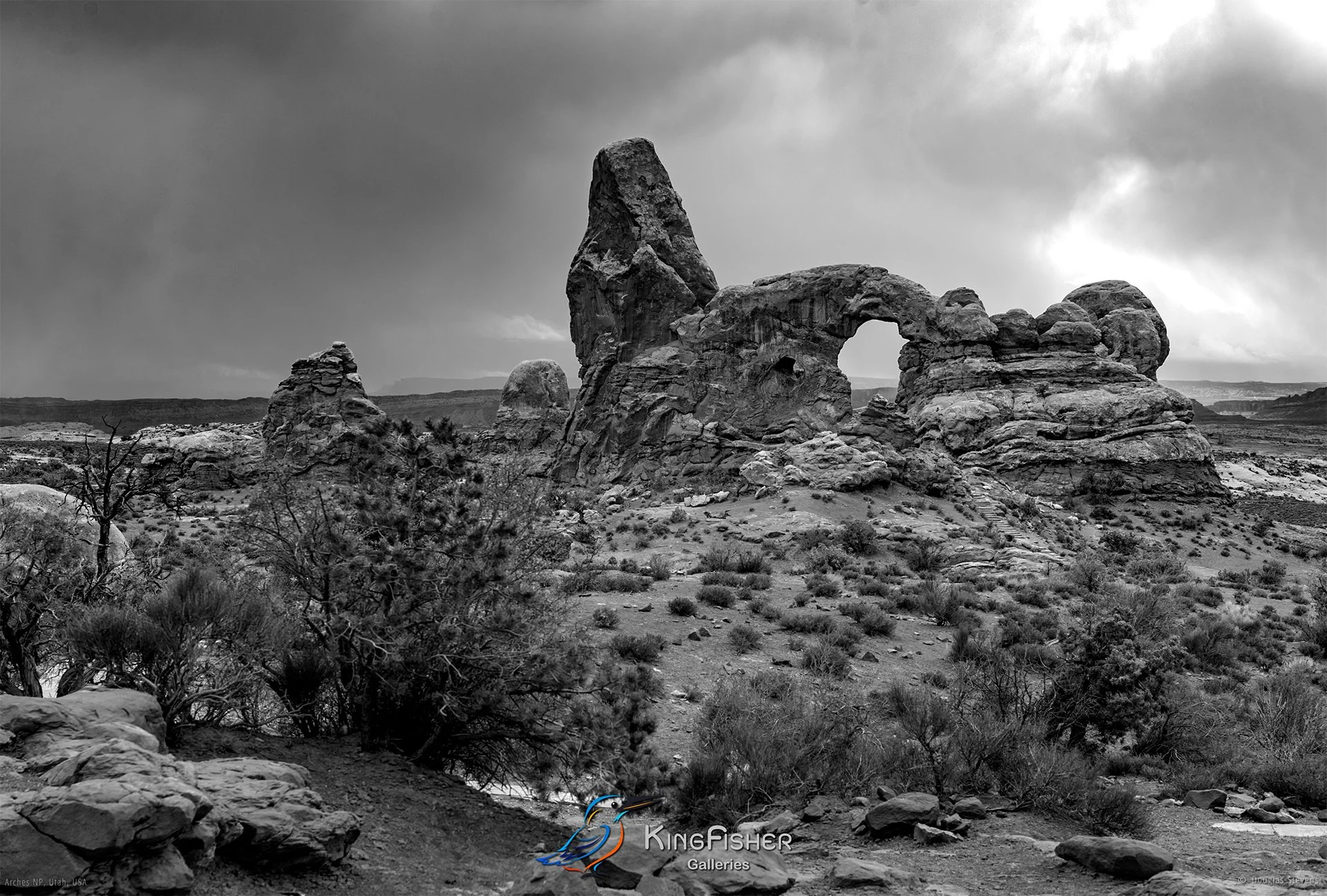 029_DST_Arches_NP_UT_USA_2012_L_BW.jpg