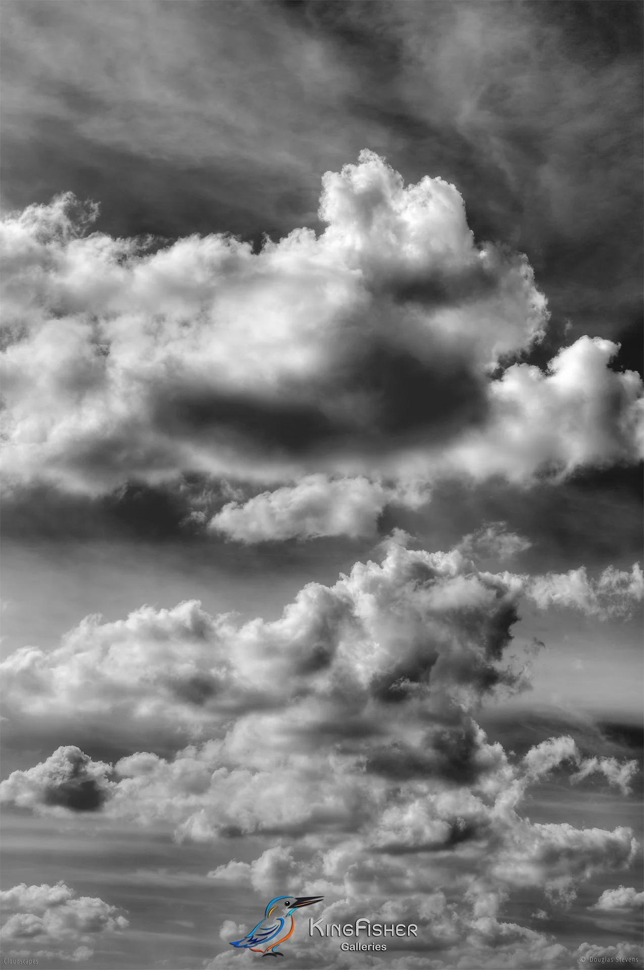 026_DST_Cloudscapes_2010_P_BW.jpg